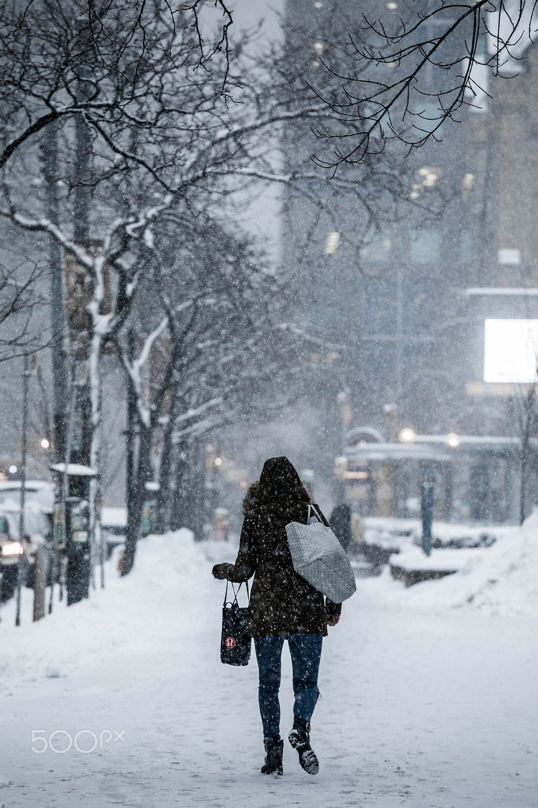 Canon EF 70-200mm F4L IS USM sample photo. Toronto snowstorm photography