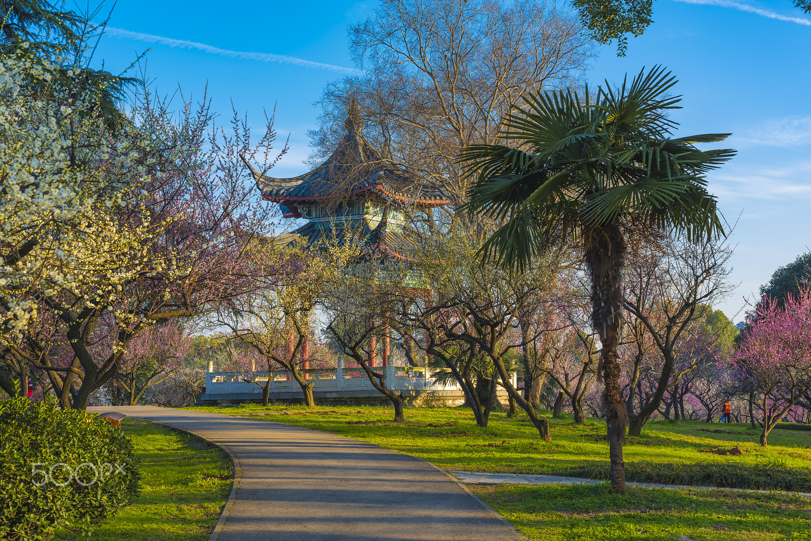 ZEISS Otus 55mm F1.4 sample photo. Dsc photography