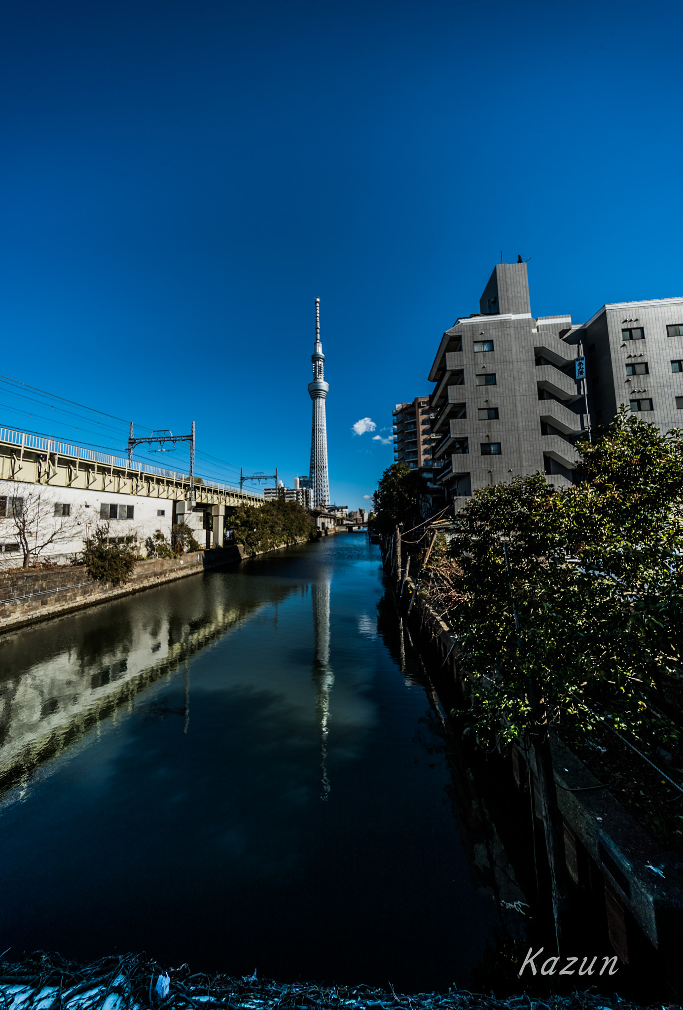 Sony a7S II + Voigtlander HELIAR-HYPER WIDE 10mm F5.6 sample photo. Tower of sky tree photography