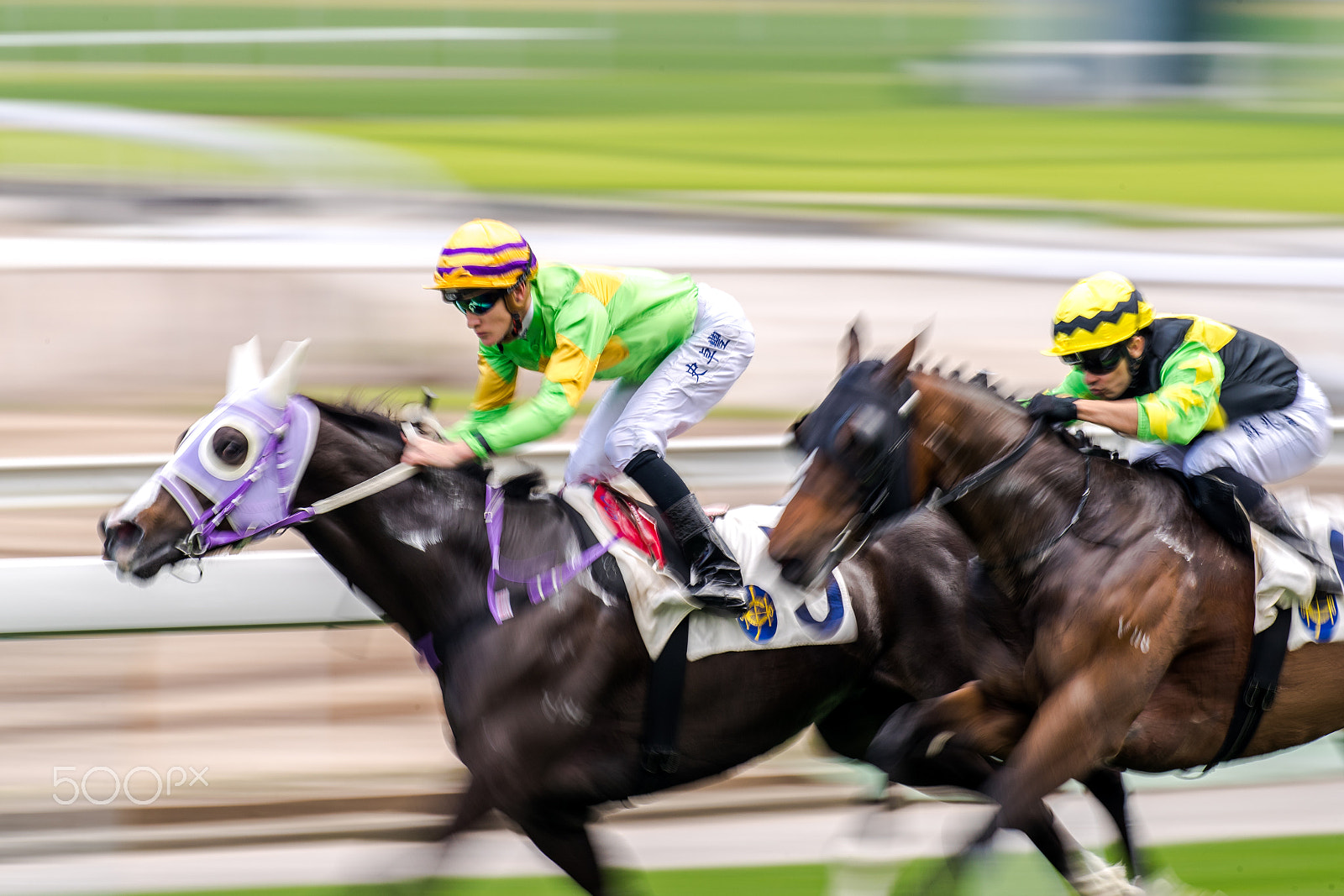 Canon EOS-1D X Mark II sample photo. Horse racing photography