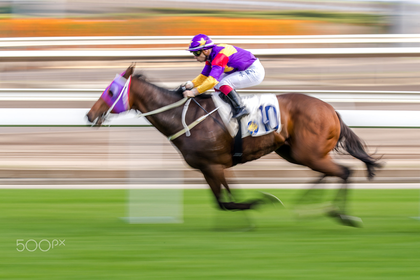Canon EOS-1D X Mark II sample photo. Horse racing photography
