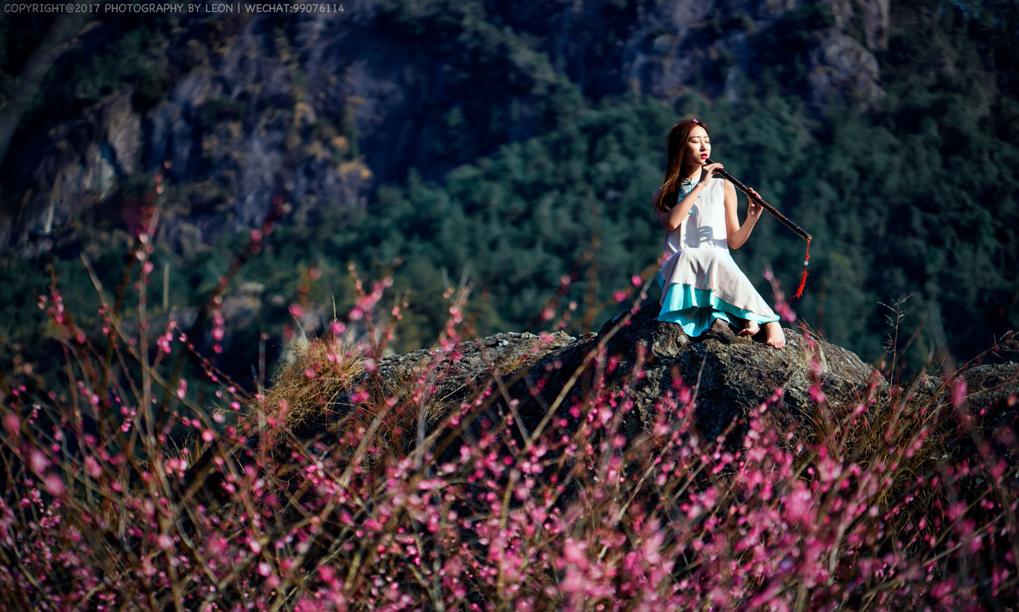 ZEISS Batis 85mm F1.8 sample photo