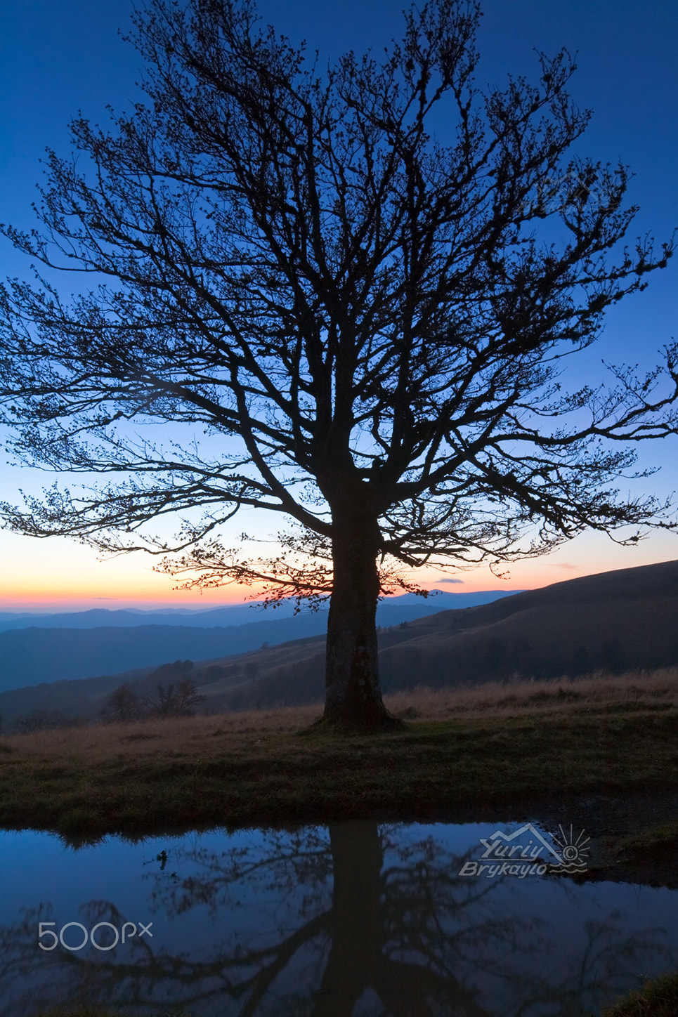 Canon EOS 5D + Canon EF 16-35mm F2.8L II USM sample photo. Lonely autumn naked tree on night mountain hill top in last sunset light (and its reflection in a... photography