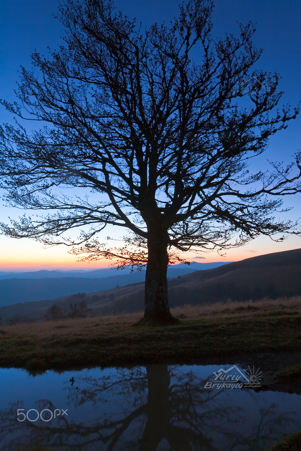 Canon EF 16-35mm F2.8L II USM sample photo. Lonely autumn naked tree on night mountain hill top in last sunset light (and its reflection in a... photography