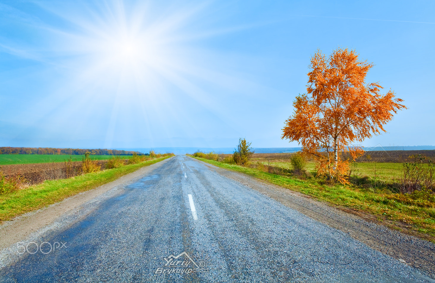 Canon EOS 5D + Canon EF 16-35mm F2.8L II USM sample photo. Autumn road and yellow birch photography