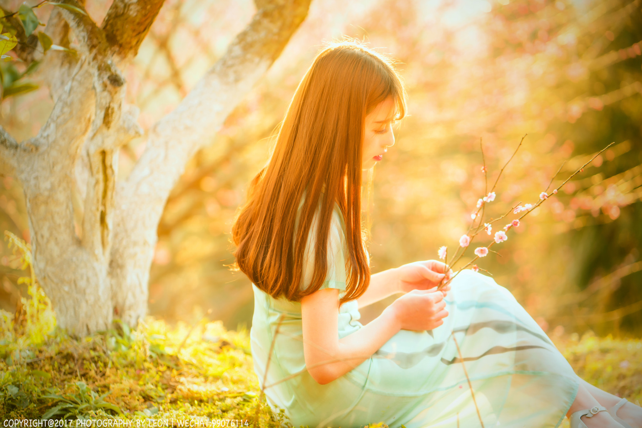 ZEISS Batis 85mm F1.8 sample photo