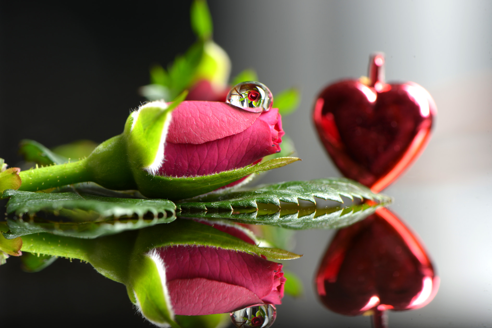 Nikon D800 sample photo. Happy valentine's day !! photography