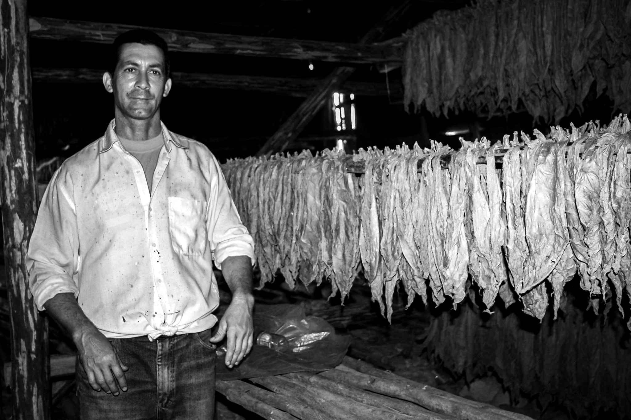 Pentax K100D Super sample photo. Cultivateur de tabac cubain... photography