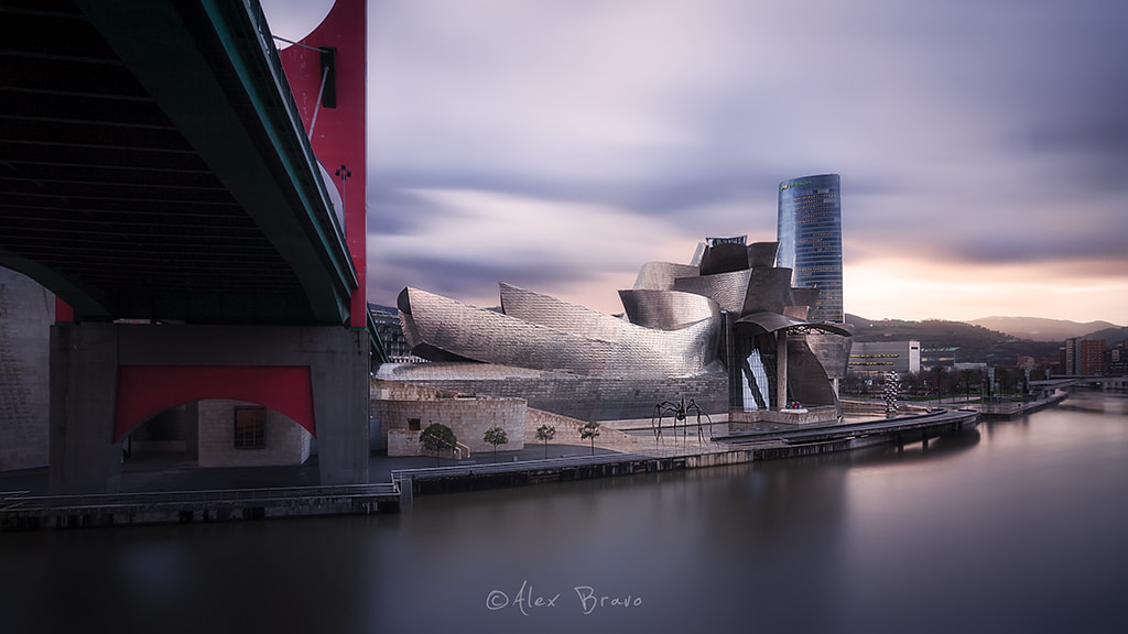 Tokina AT-X Pro 12-24mm F4 (IF) DX sample photo. Museo guggenheim photography