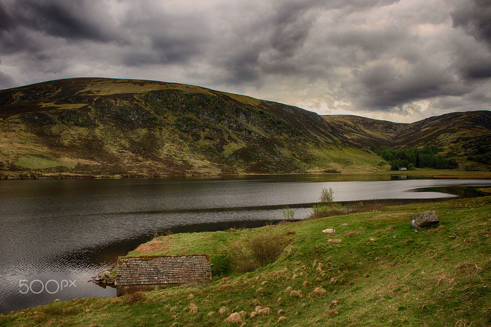 Canon EOS 7D + Tamron AF 18-270mm F3.5-6.3 Di II VC LD Aspherical (IF) MACRO sample photo. Loch lee photography