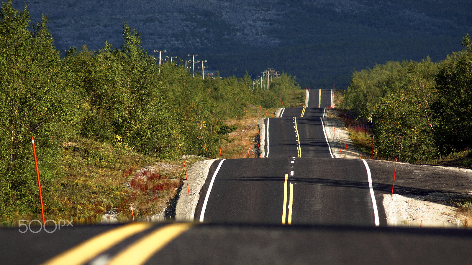 Nikon D70 sample photo. Full speed! photography