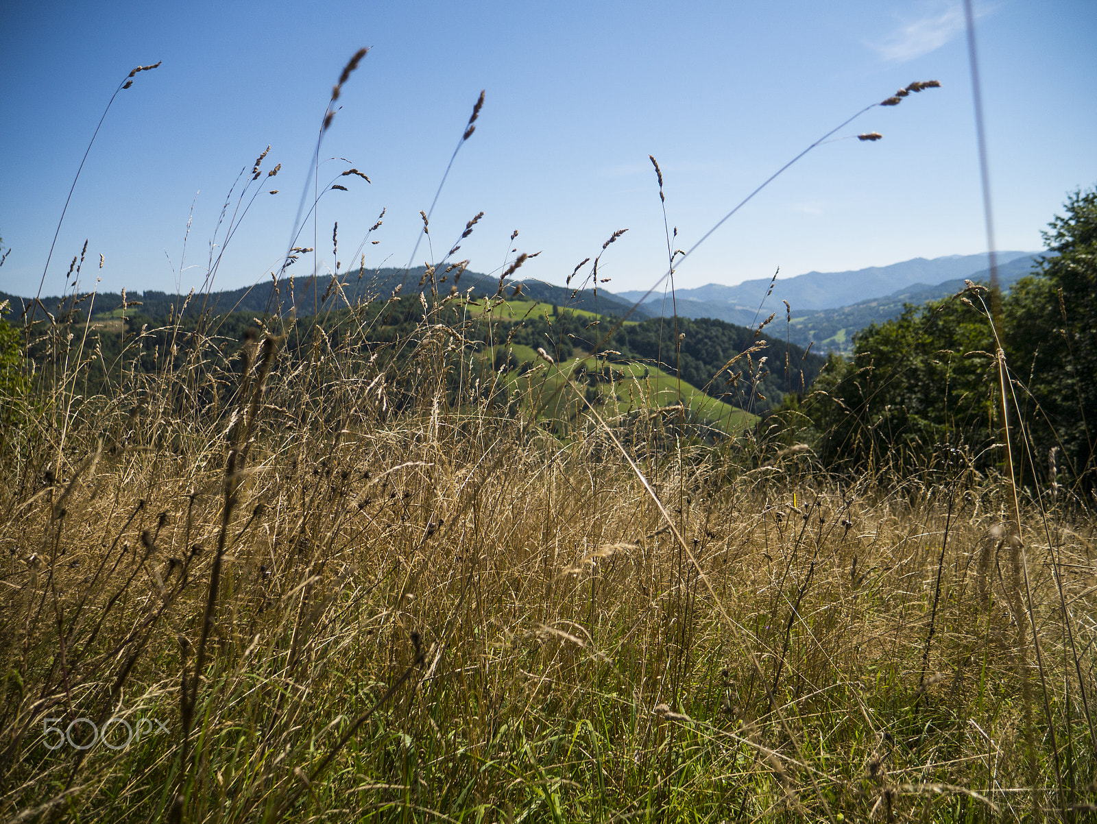 Panasonic Lumix DMC-GF6 sample photo. Mountains among grass photography