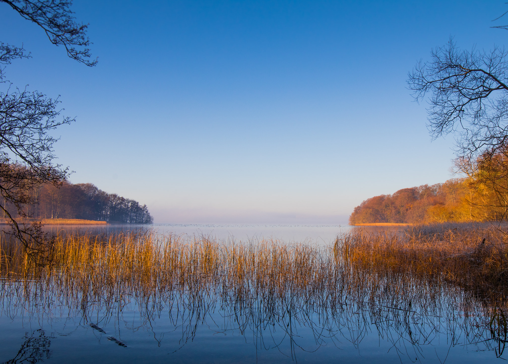 Canon EOS 80D + Canon EF 16-35mm F4L IS USM sample photo. Lake in morning light photography