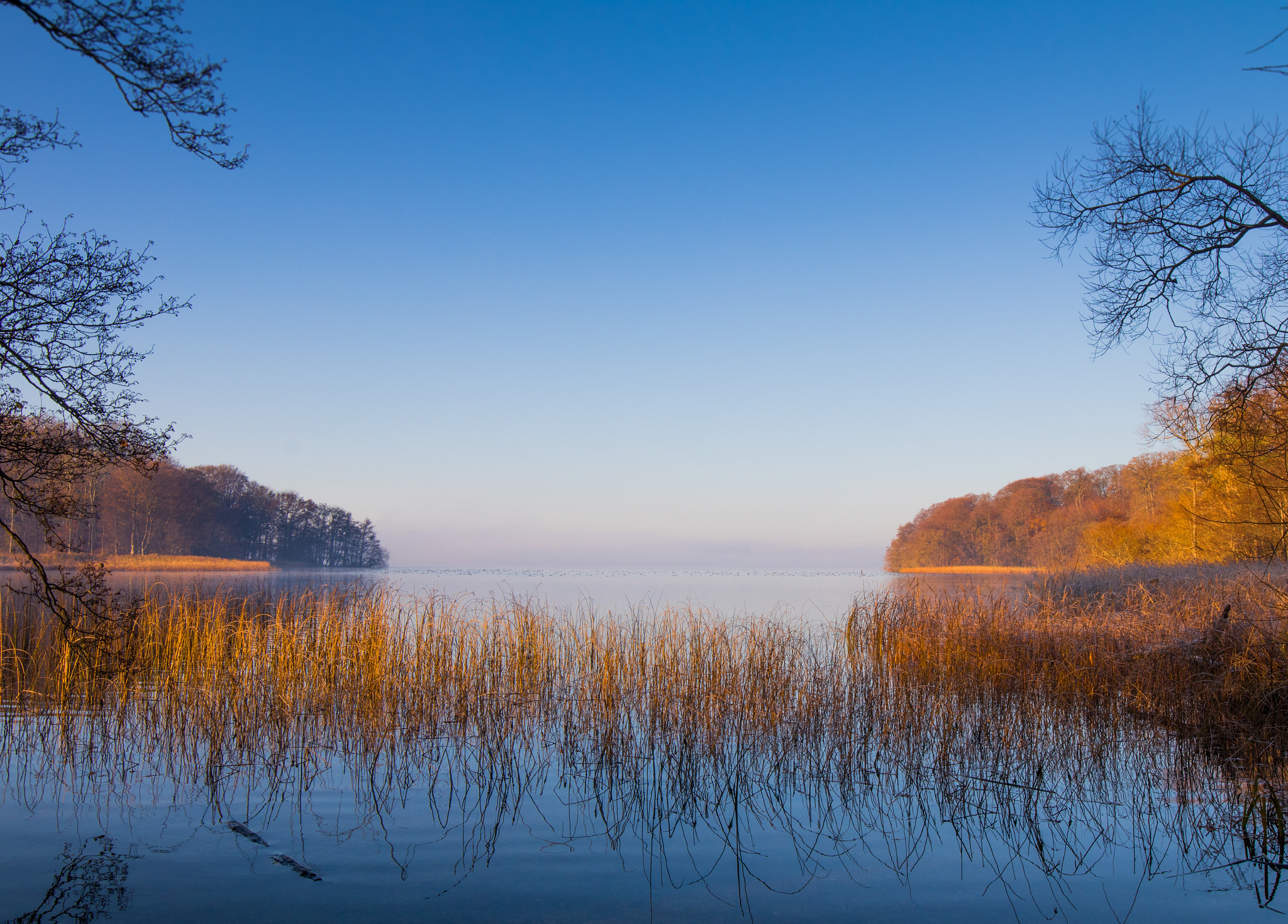 Canon EF 16-35mm F4L IS USM sample photo. Lake in morning light photography