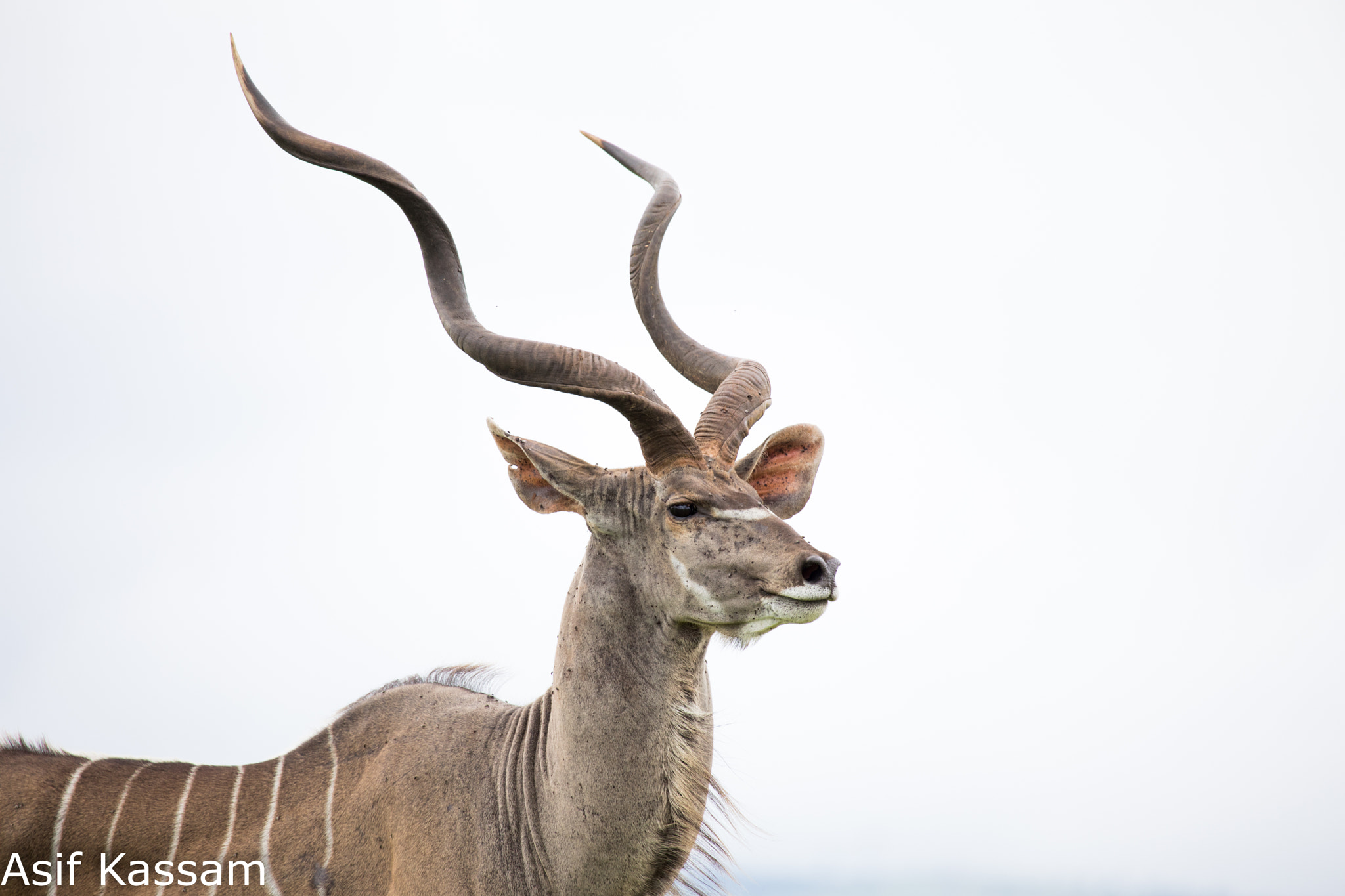 Canon EF 100-400mm F4.5-5.6L IS USM sample photo. A photography