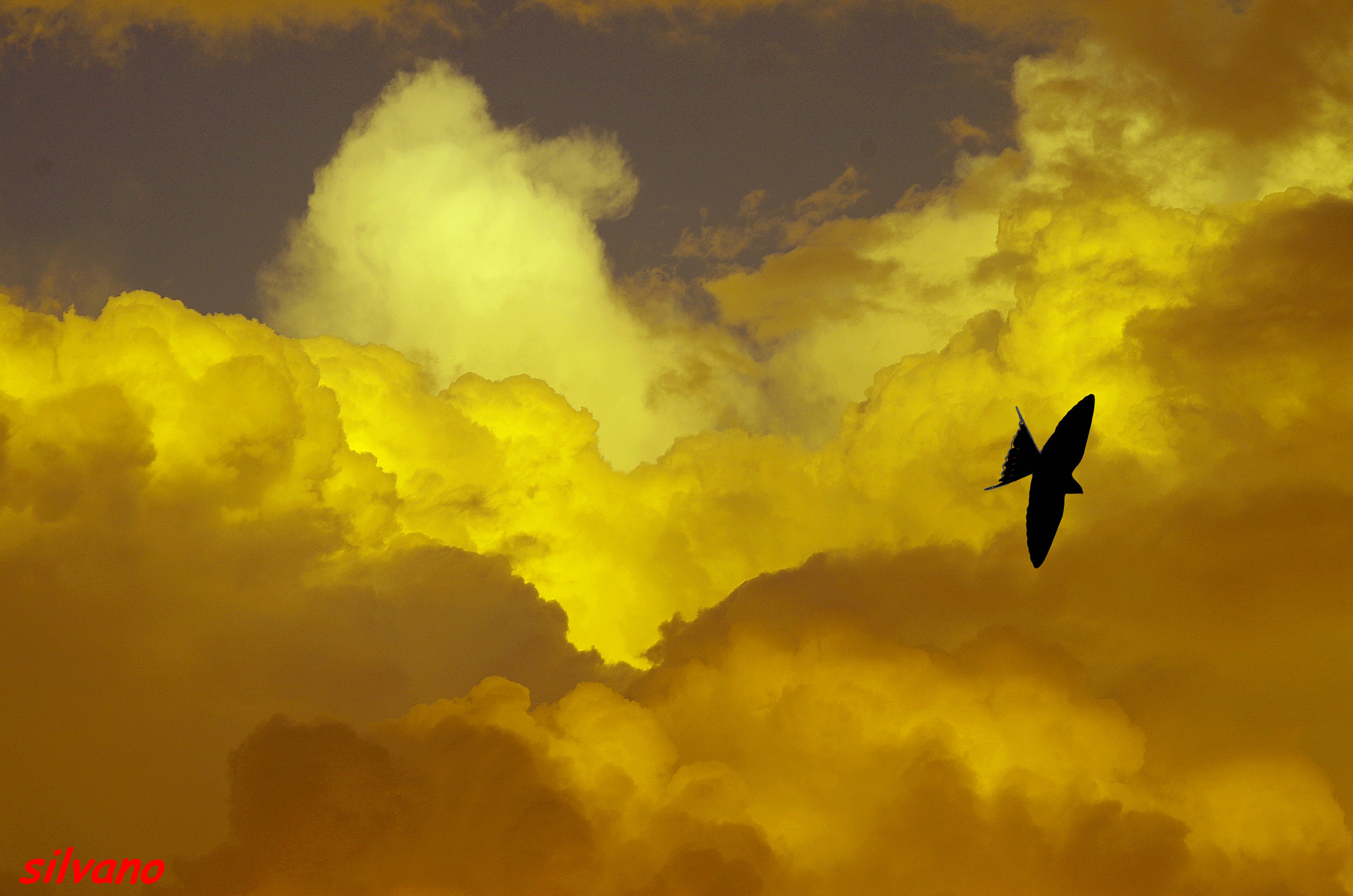 Pentax K-50 sample photo. Volare !!!!!!!!! photography