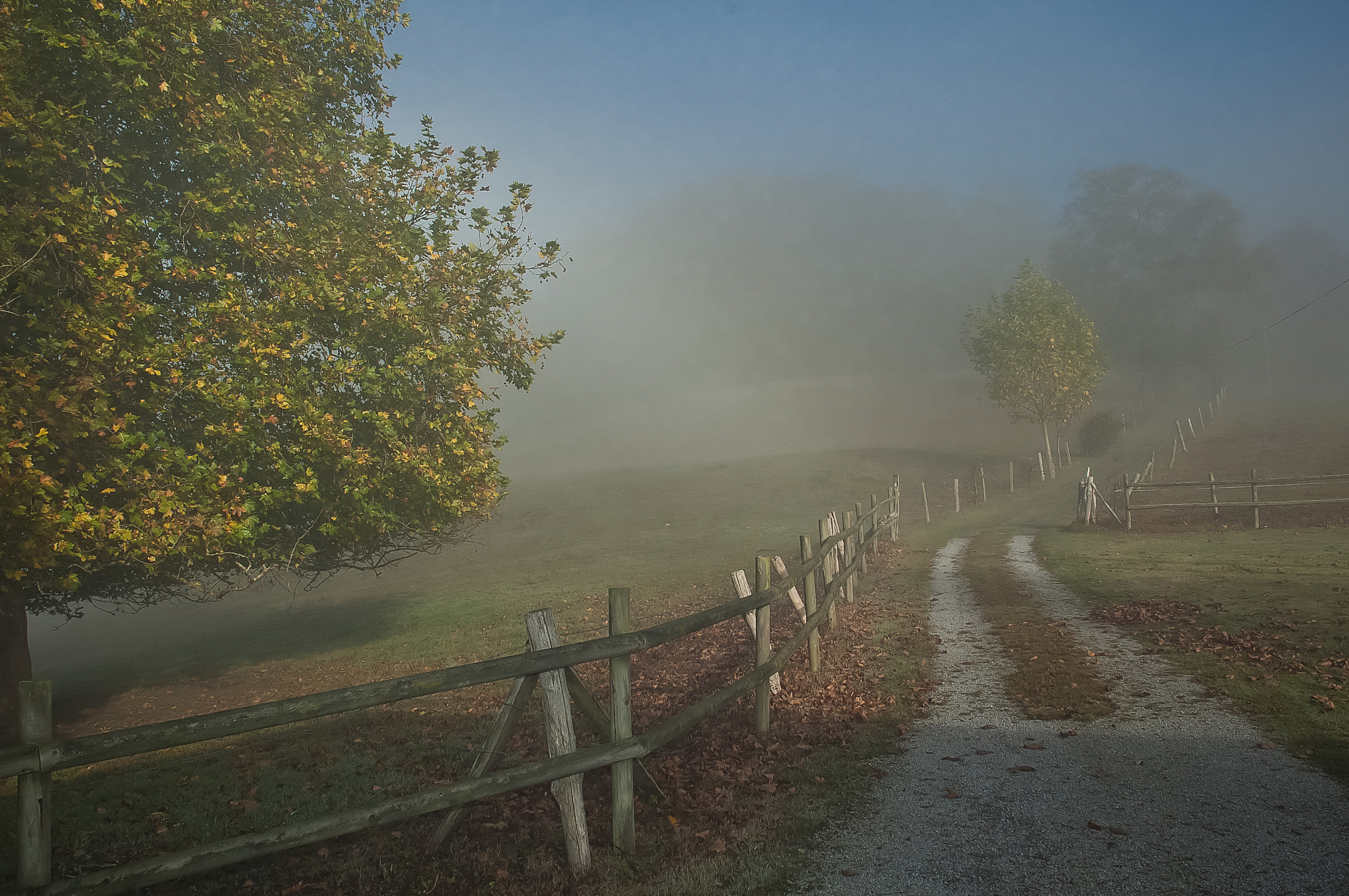Nikon D70 sample photo. Levanta la niebla photography