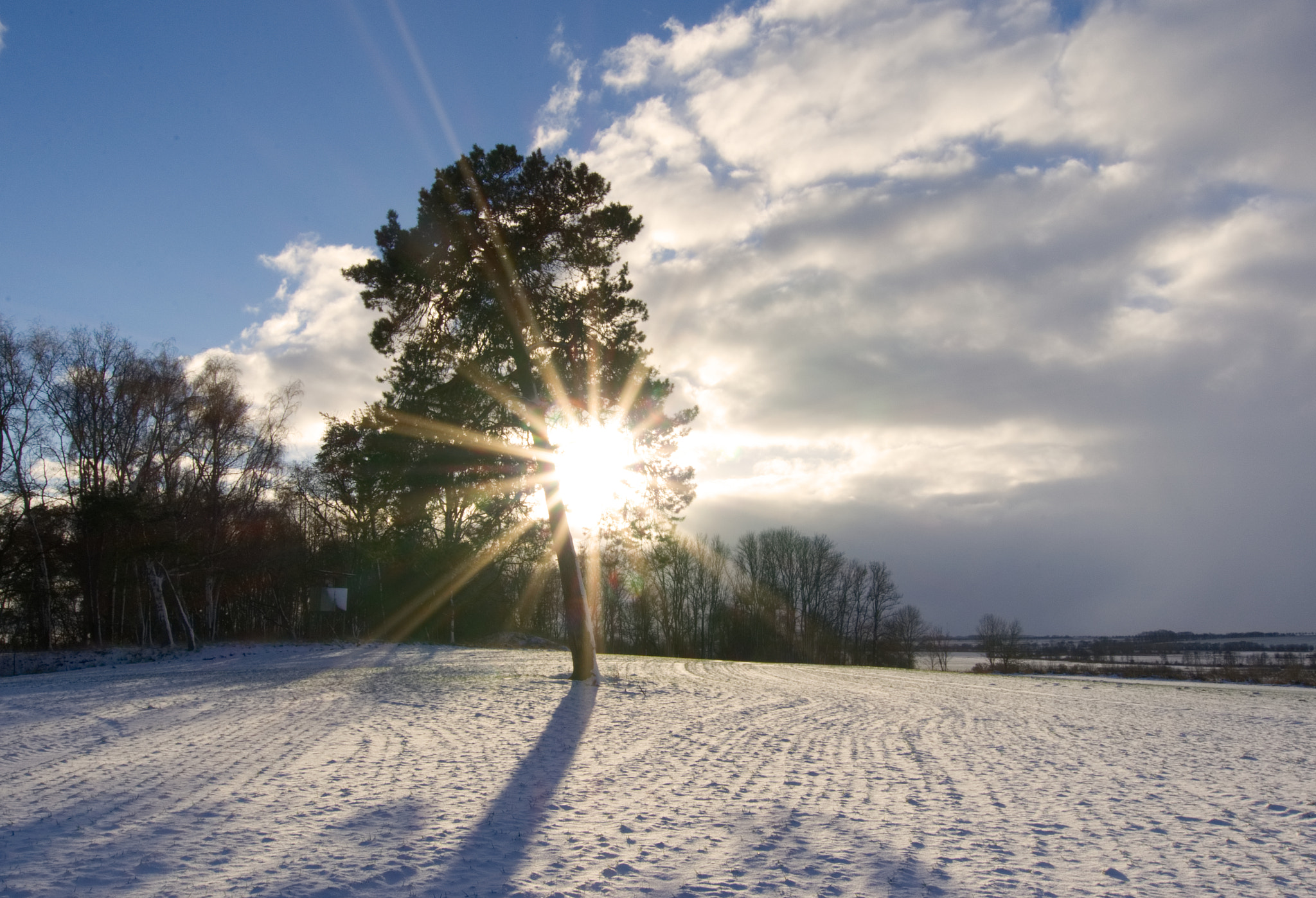 Nikon D5100 + Sigma 10-20mm F3.5 EX DC HSM sample photo. Dsc 2649 winter in brandenburg  photography