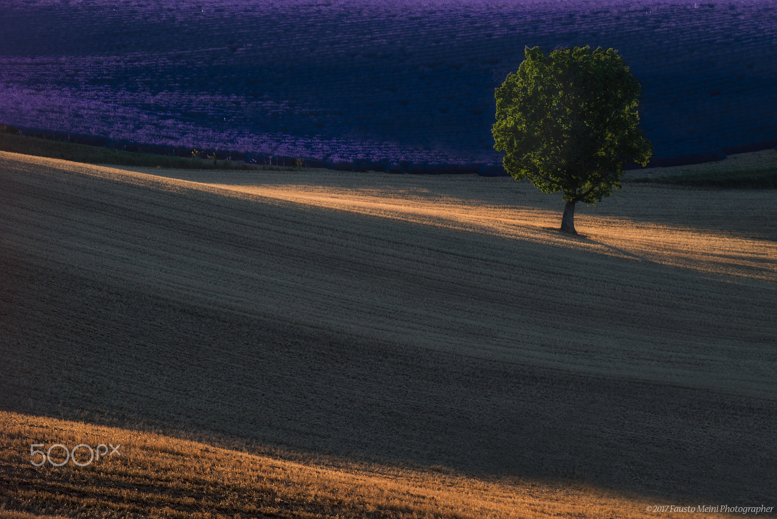 Nikon AF-S Nikkor 70-200mm F4G ED VR sample photo. A glimmer of light photography