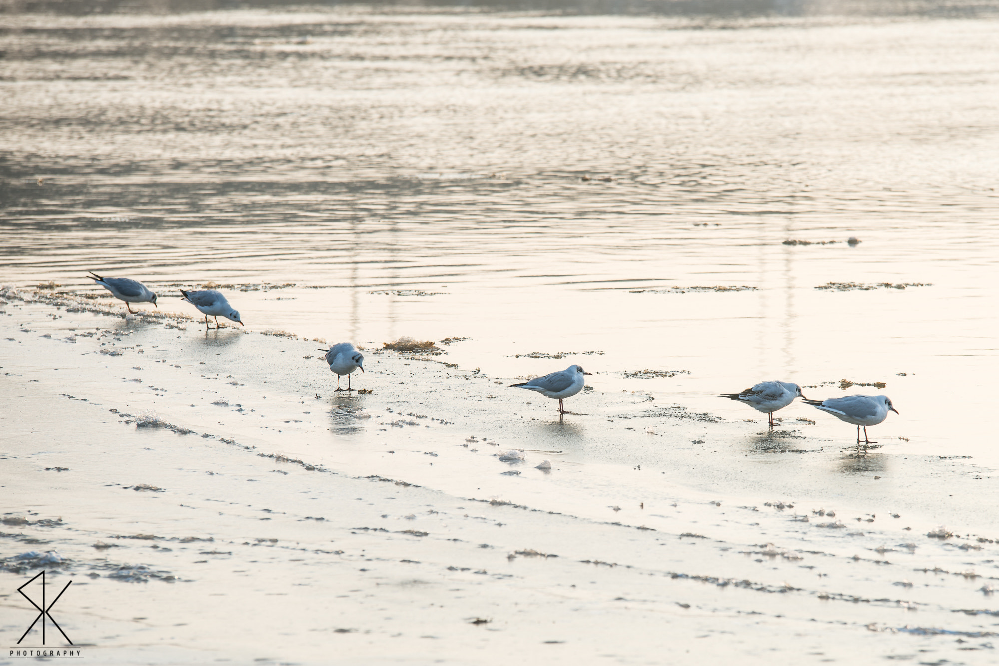 Sigma 70-200mm F2.8 EX DG OS HSM sample photo. . photography