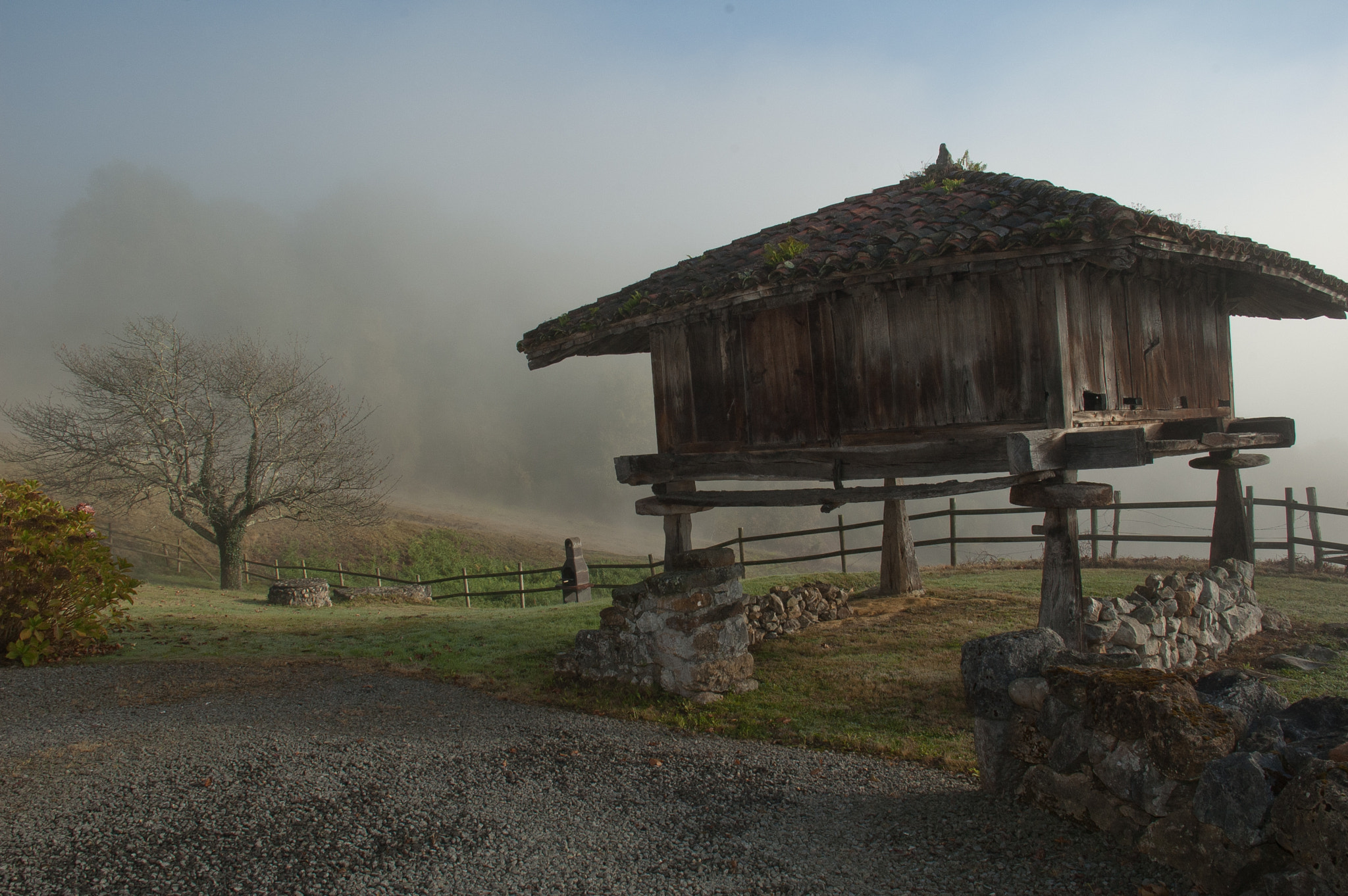 Nikon D70 sample photo. Horreo photography