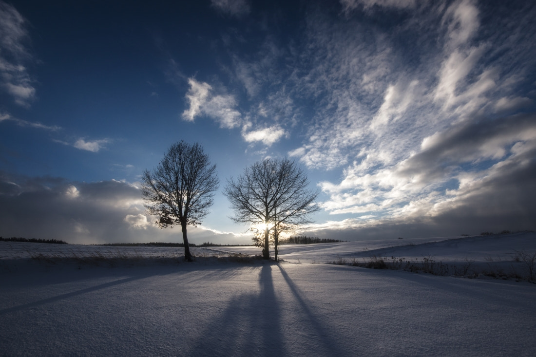 Pentax K-3 sample photo. Snow desert photography