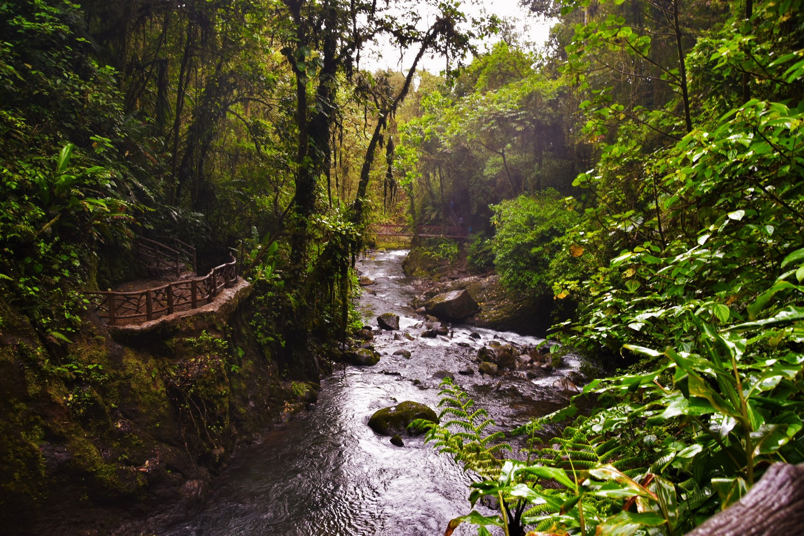 Sigma 18-250mm F3.5-6.3 DC Macro OS HSM sample photo. Costa rica photography