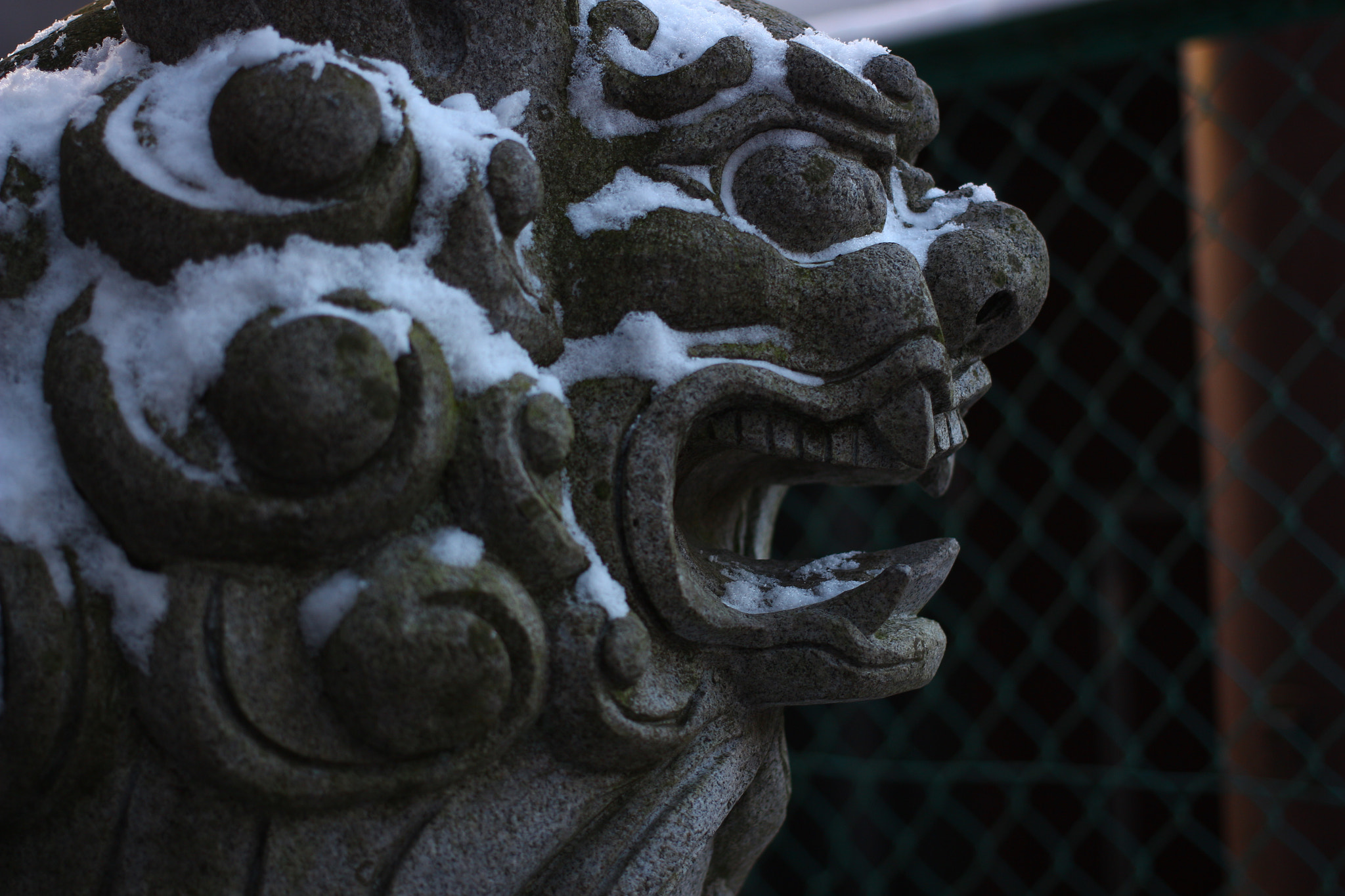 Canon EOS 650D (EOS Rebel T4i / EOS Kiss X6i) sample photo. Guardian lion-dog at shinto shrine photography