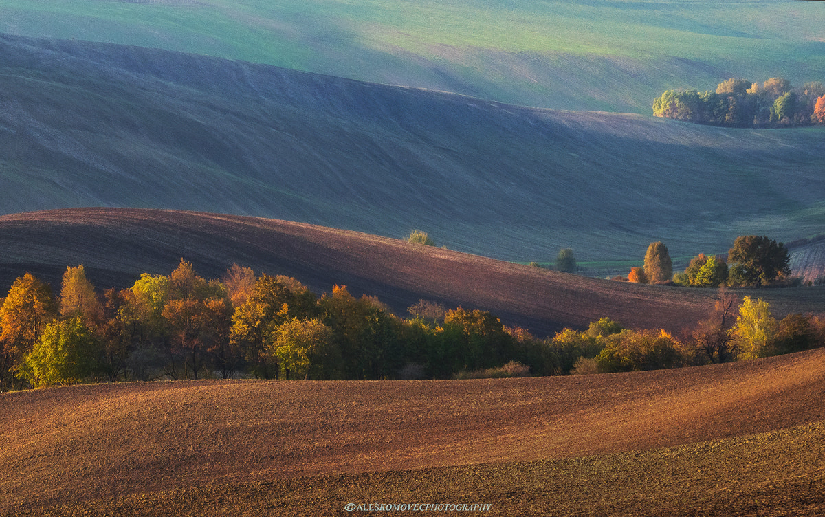 SIGMA 50-500mm F4-6.3 DG HSM sample photo. South moravia fields in autumn photography