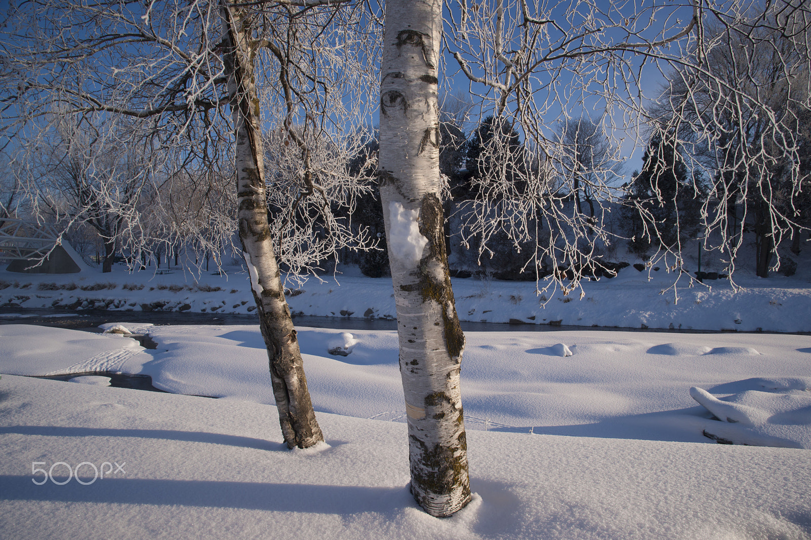 Minolta/Sony AF 24-105mm F3.5-4.5 (D) sample photo. Frozen morning photography