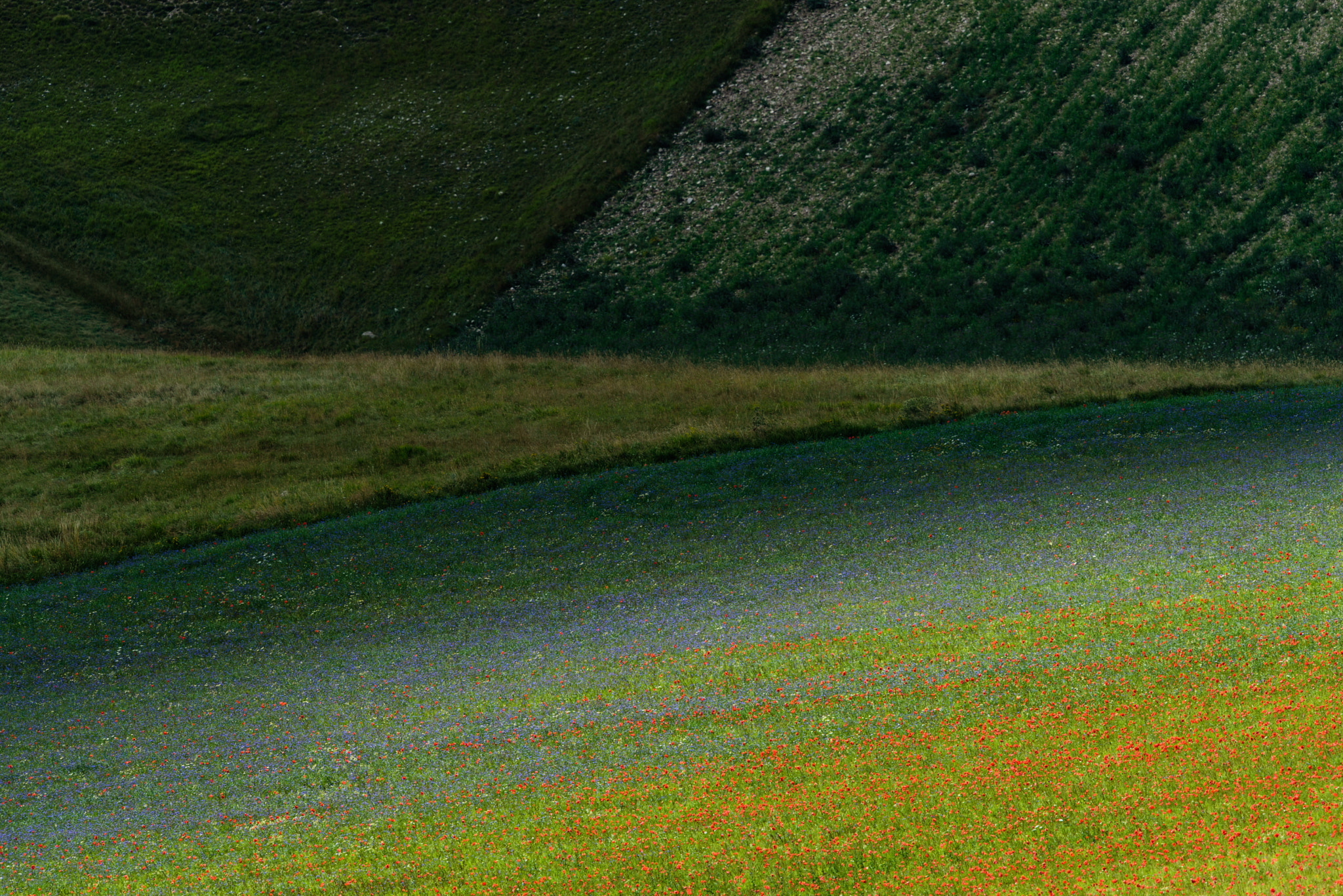 Nikon Nikkor AF-S 300mm F4E PF ED VR sample photo. Castelluccio (italy). before the earthquake 2016 photography