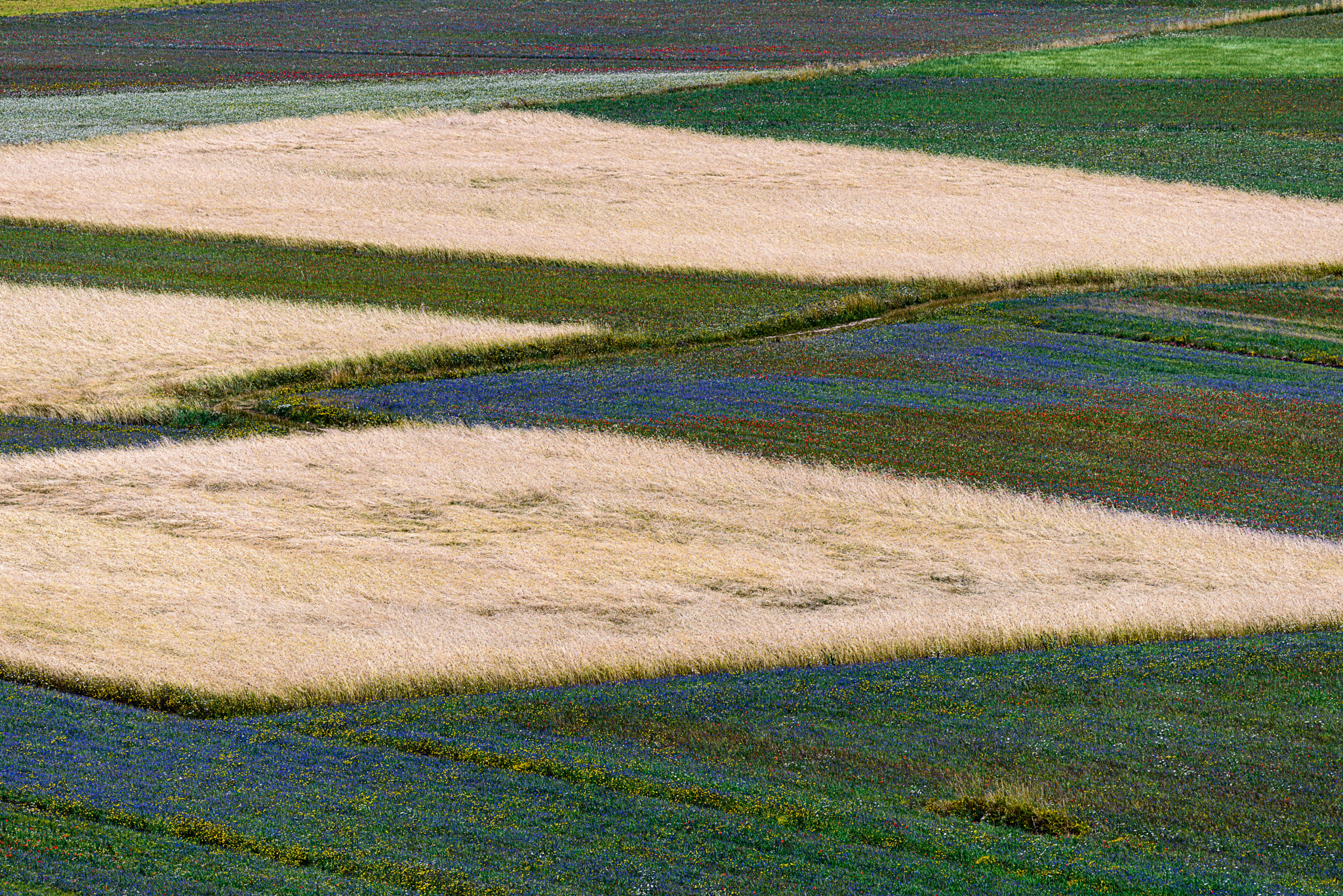 Nikon Nikkor AF-S 300mm F4E PF ED VR sample photo. Castelluccio (italy). before the earthquake 2016 photography