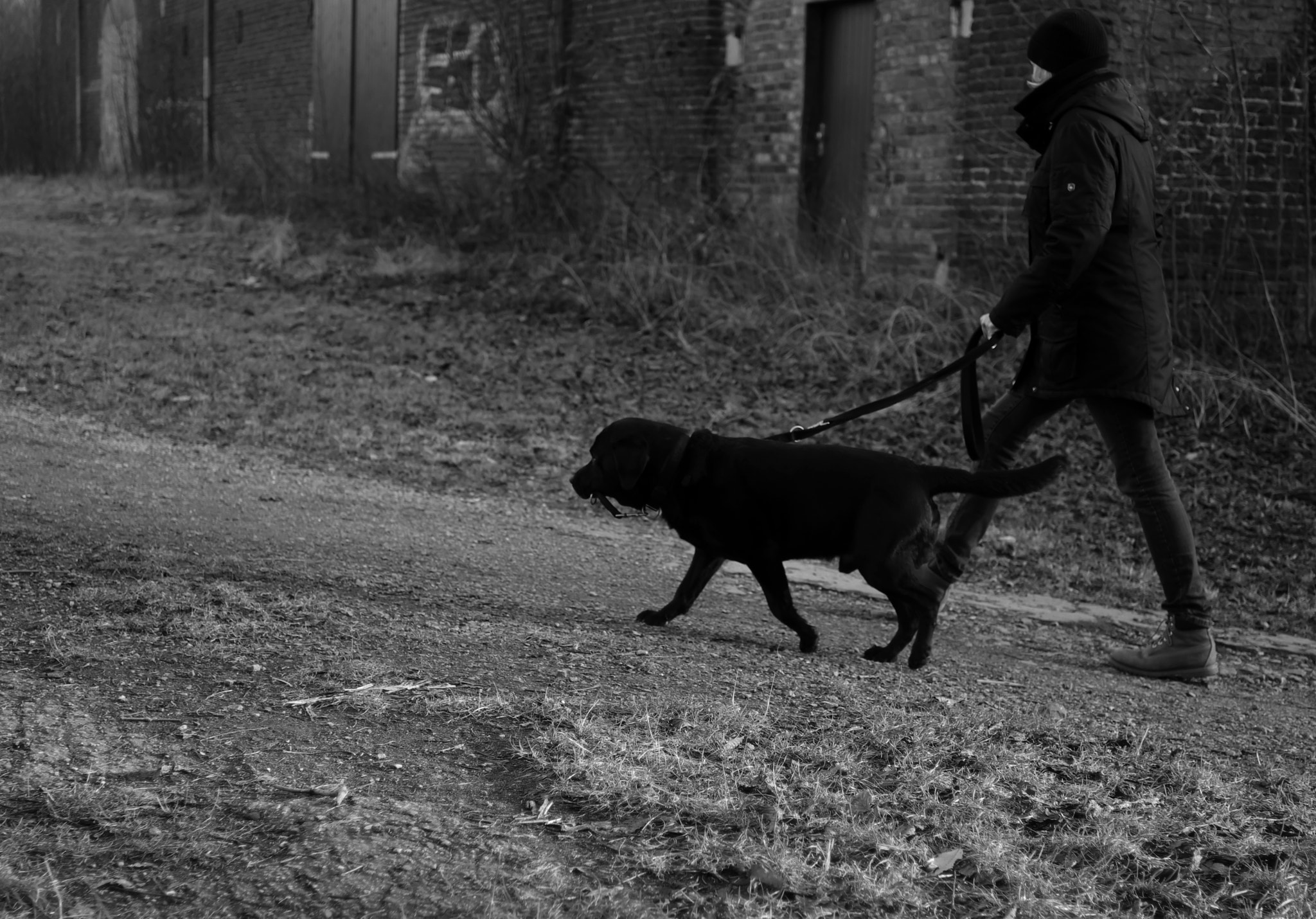 Fujifilm X-T2 sample photo. Walking with black dog 2 photography