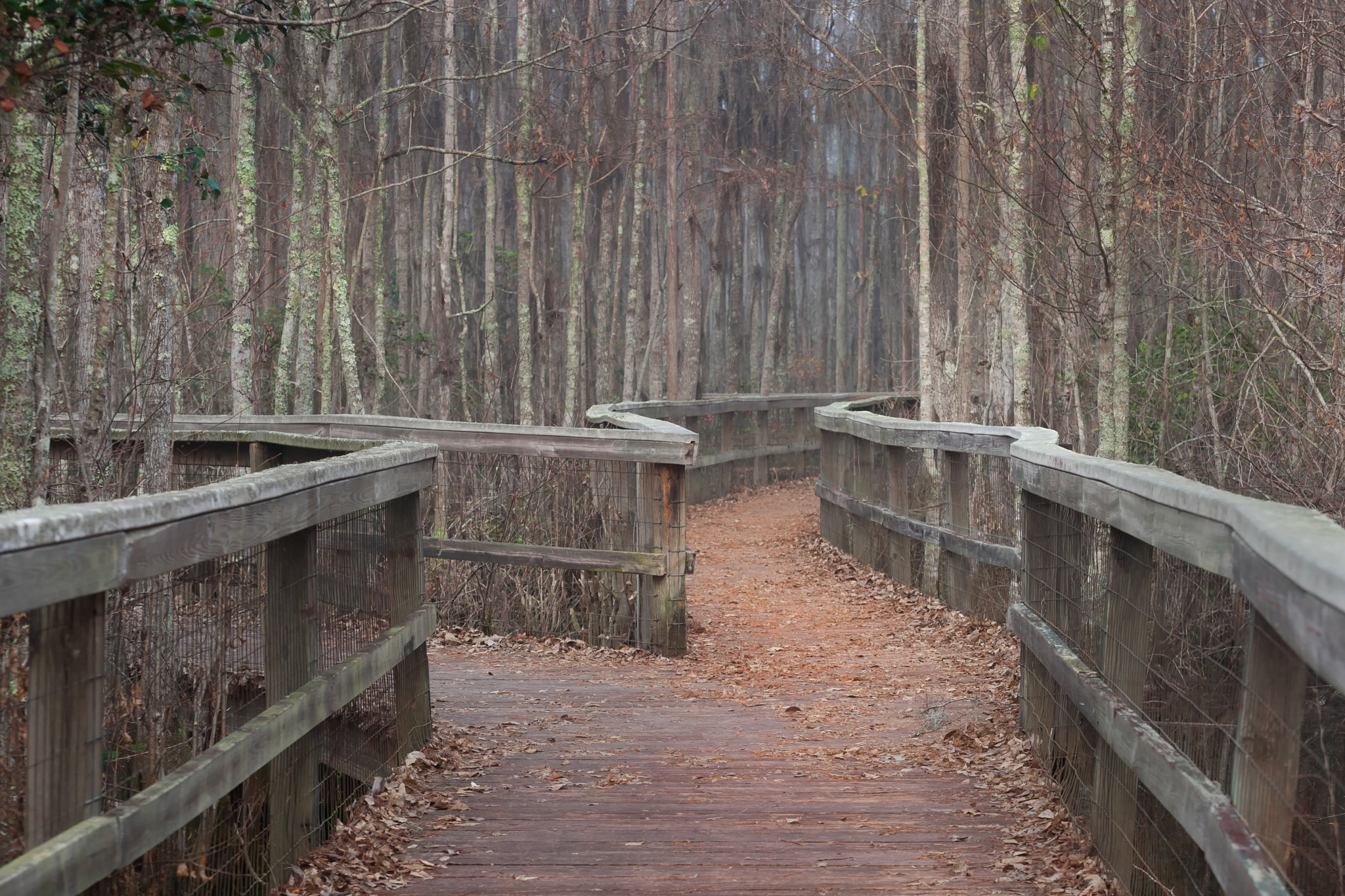 Nikon D3 sample photo. The fork photography