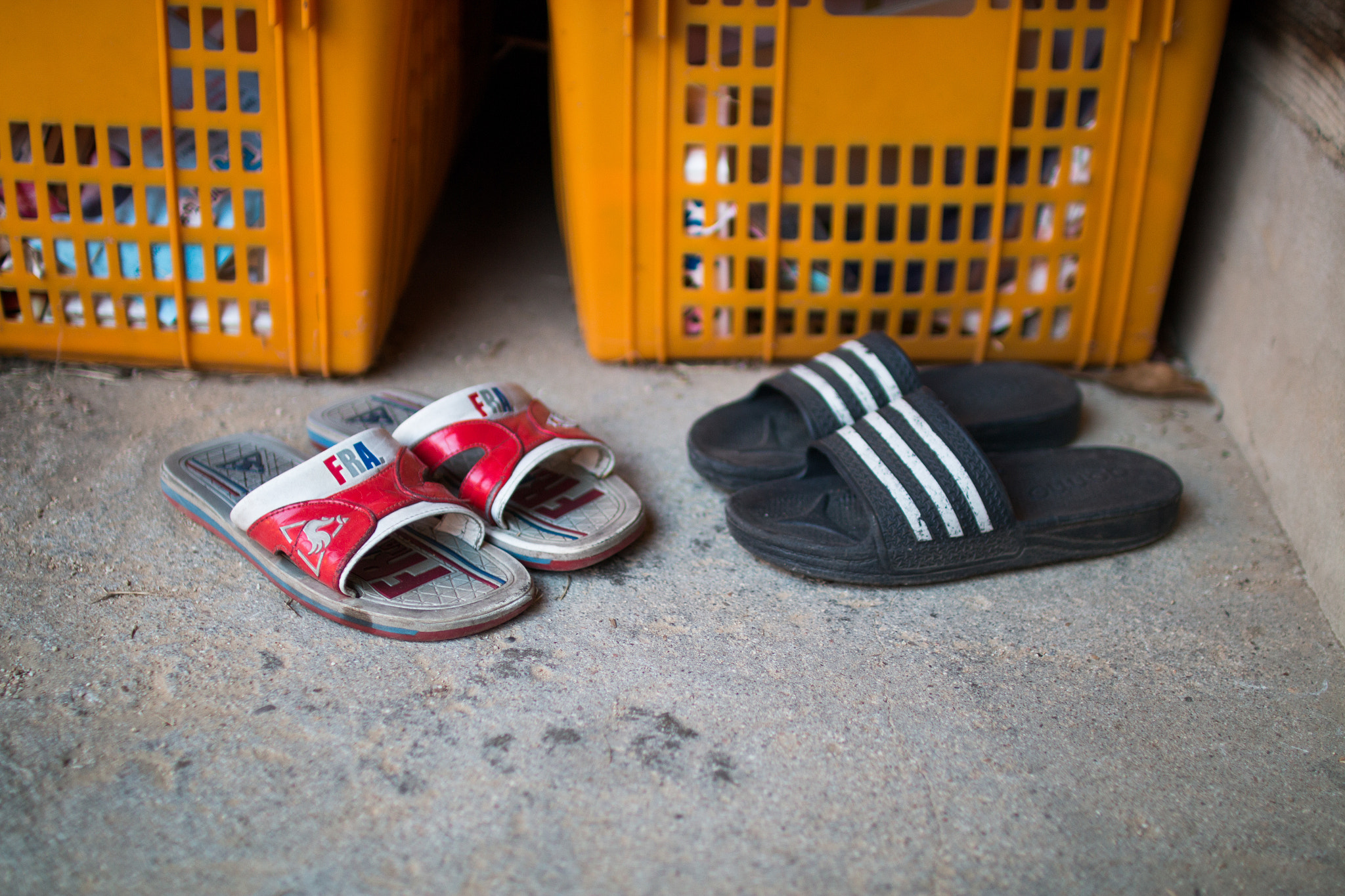 Sigma 30mm F1.4 EX DC HSM sample photo. Two sleepers photography