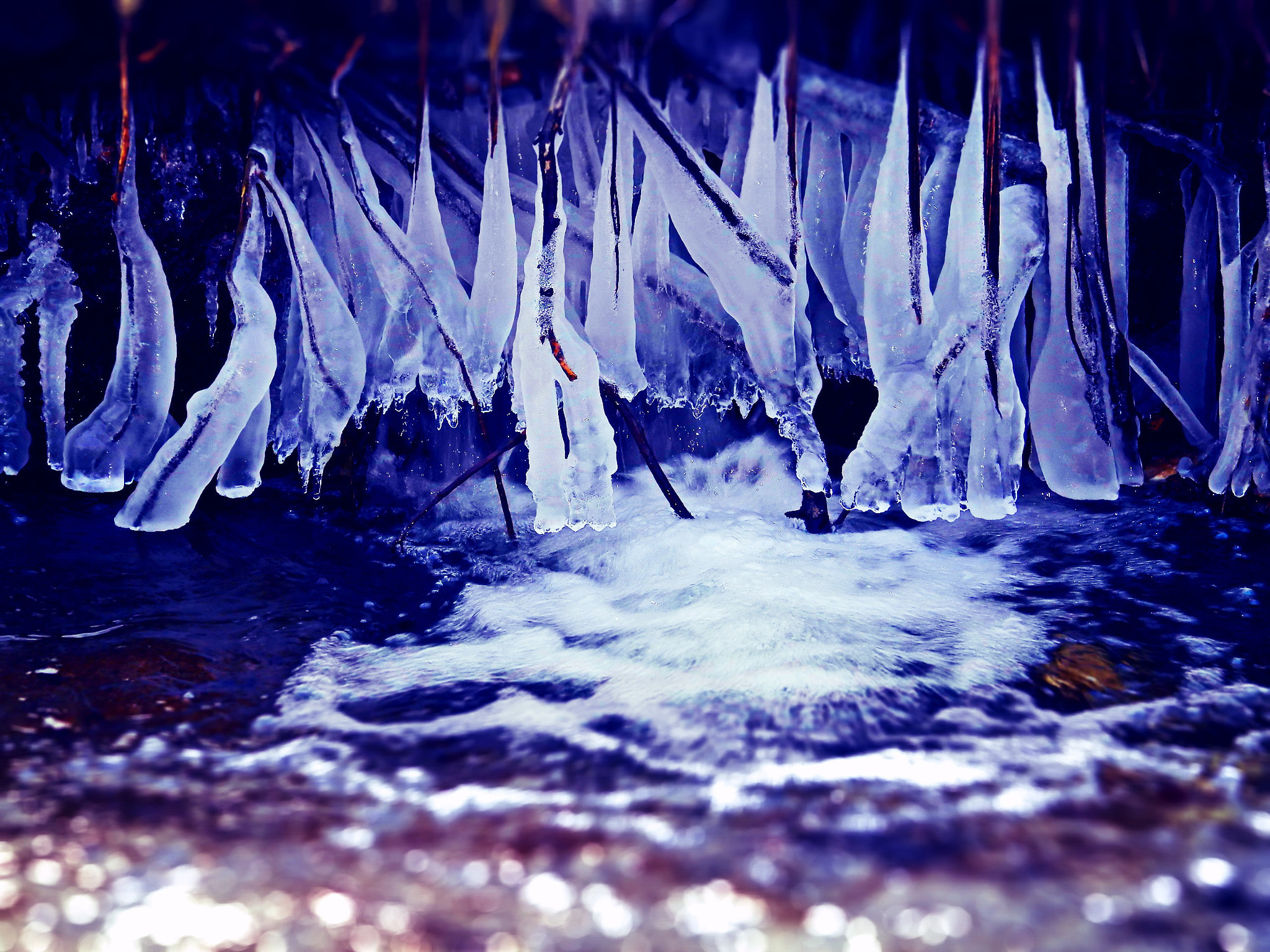 Olympus SP-620UZ sample photo. Frozen branches over water photography