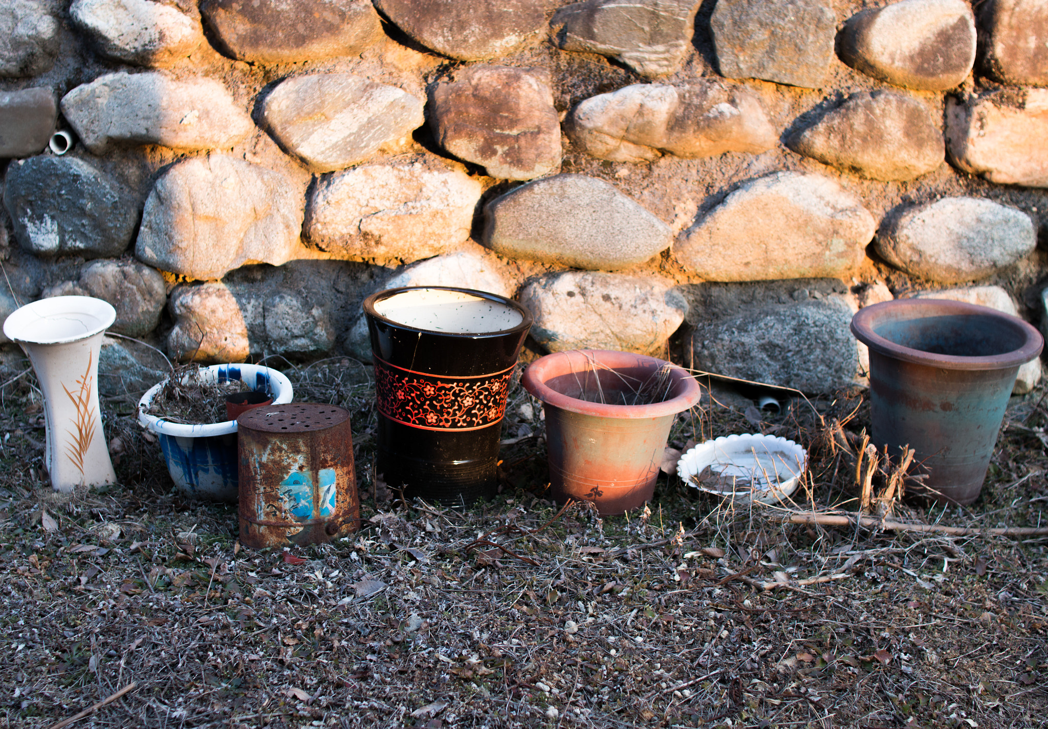 Sigma 30mm F1.4 EX DC HSM sample photo. Flowerpots of winter photography