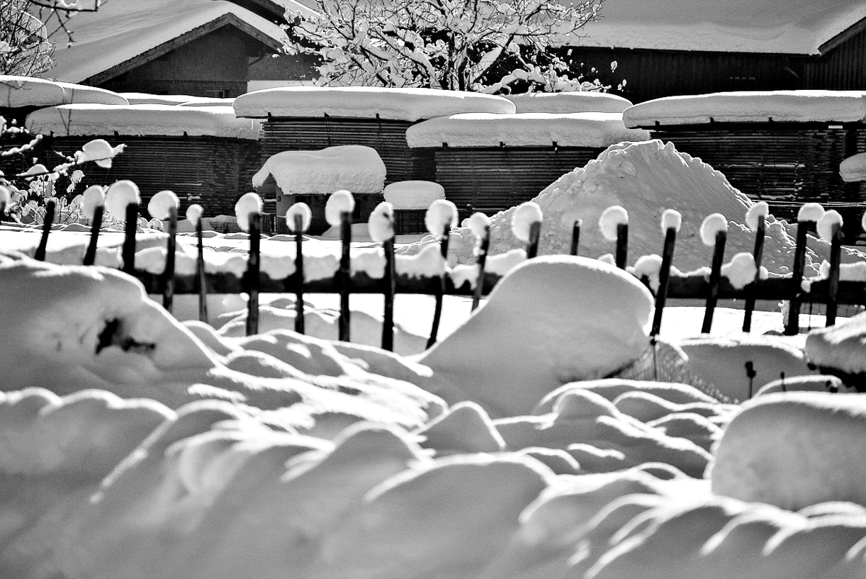 Nikon D60 sample photo