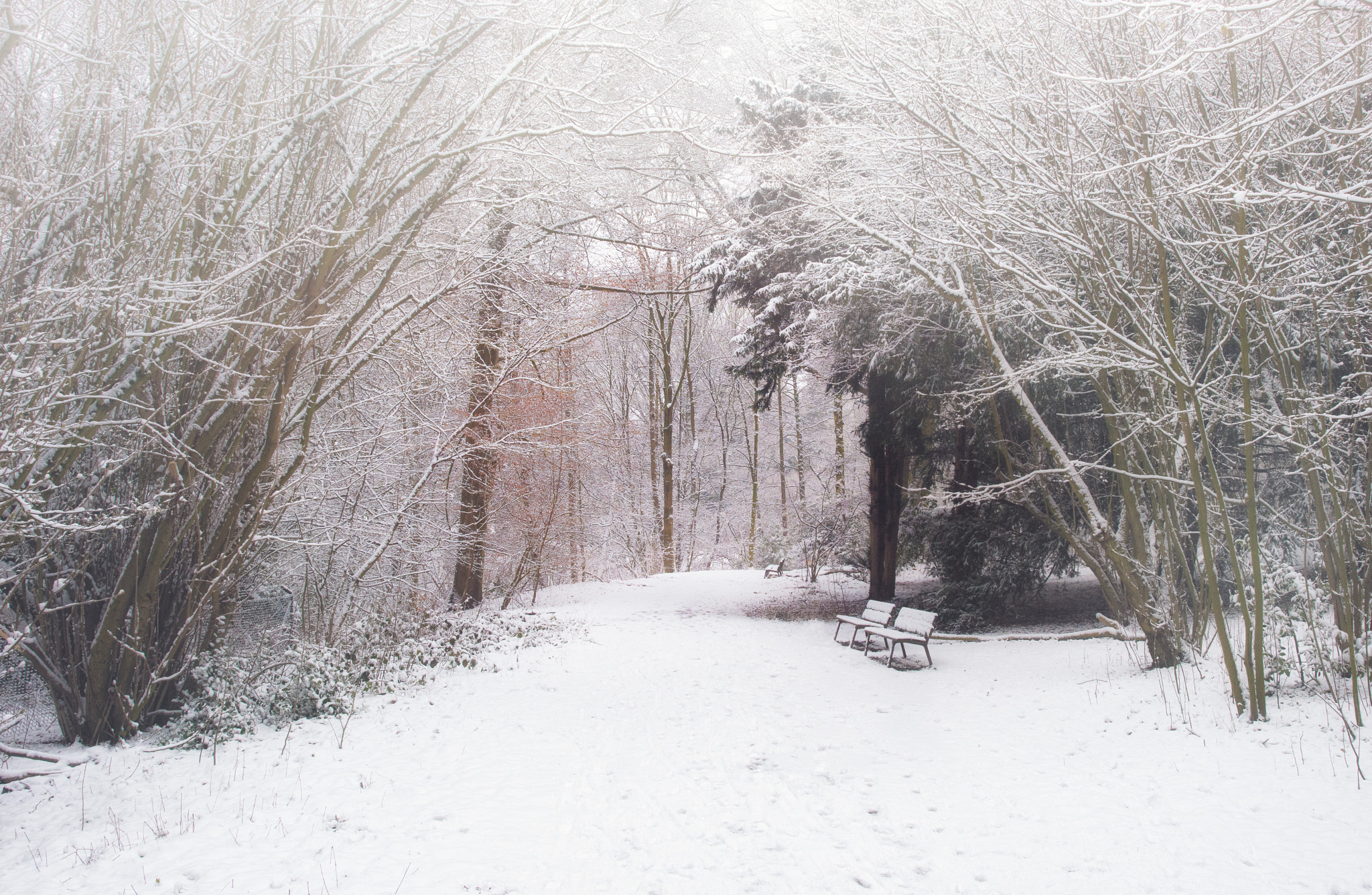 Nikon D810 + Nikon AF-S Nikkor 24mm F1.4G ED sample photo. Breath of winter.. photography