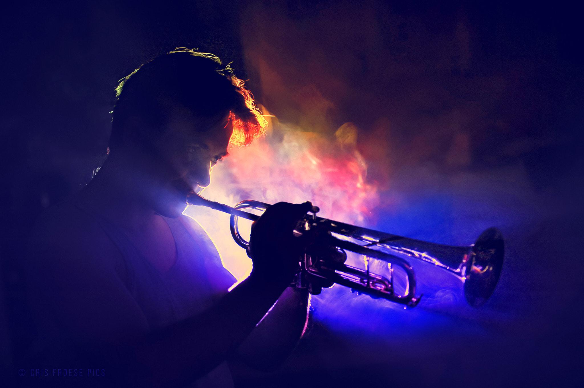 Nikon D700 sample photo. Jazzman photography