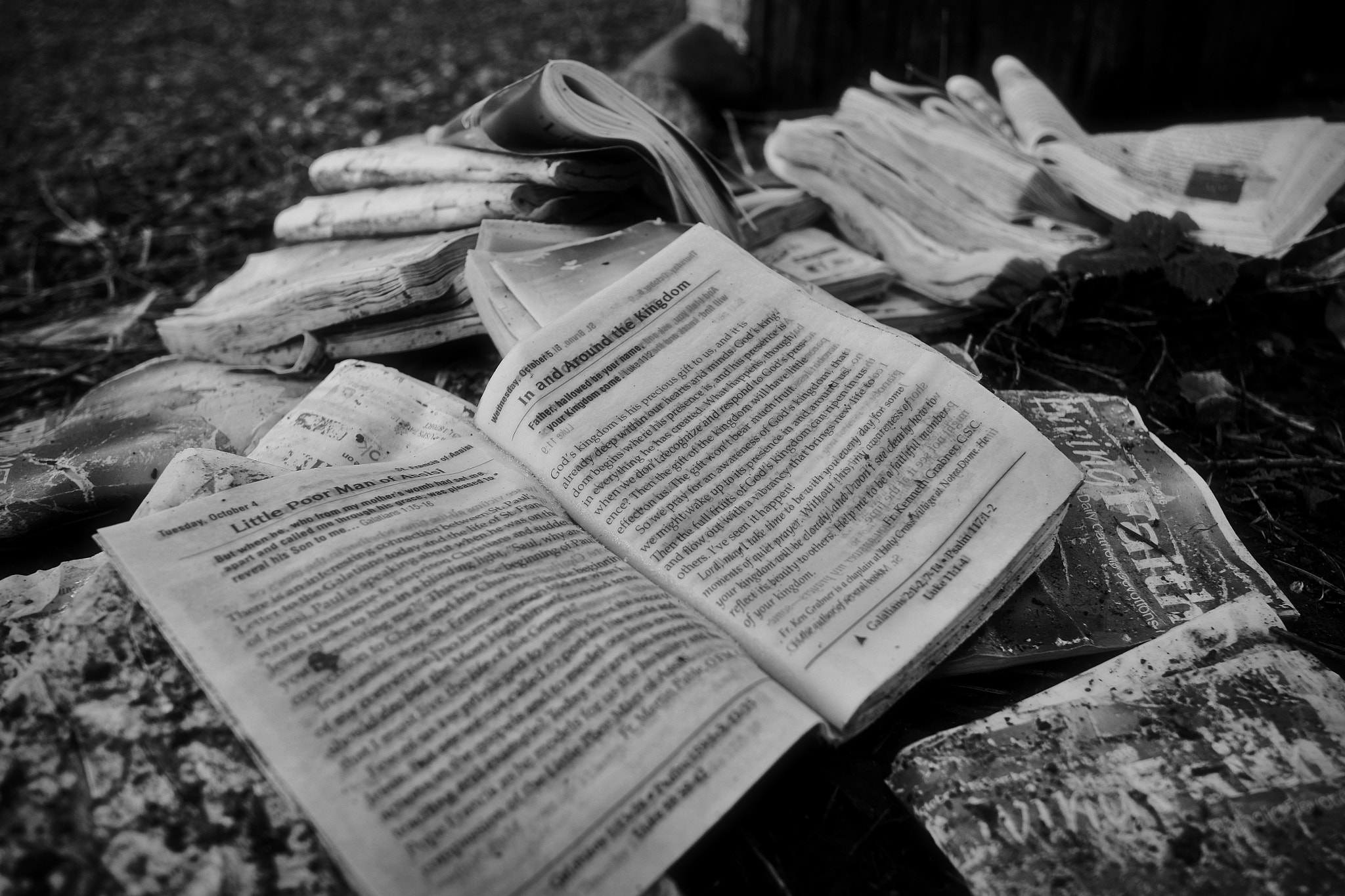 Fujifilm X-Pro1 + Fujifilm XF 18mm F2 R sample photo. The words(s) photography