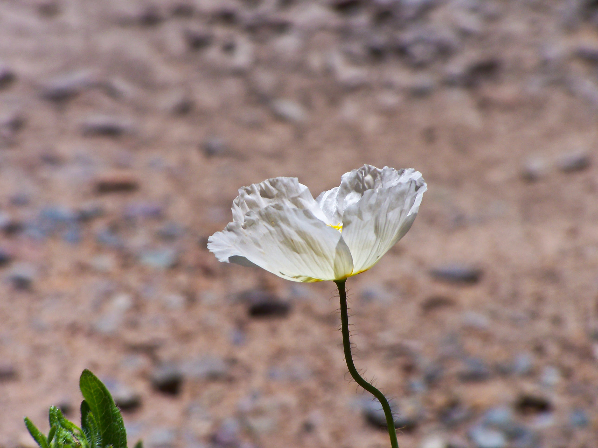 Kodak DX7590 ZOOM DIGITAL CAMERA sample photo. Meg oneill px stock photography