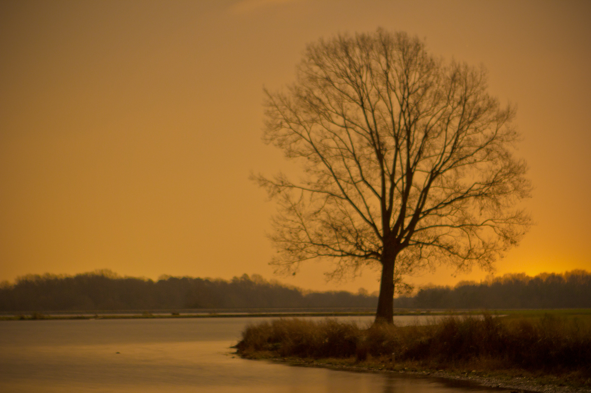 Canon EOS 60D + Canon EF 24-70mm F2.8L USM sample photo. Muse. photography