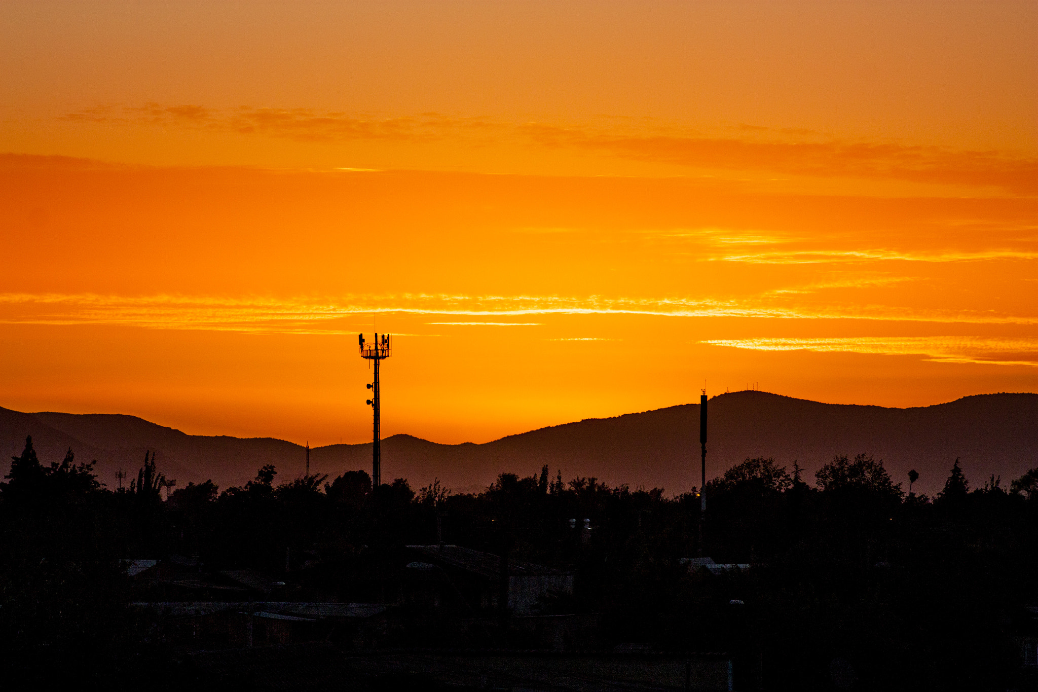 EF75-300mm f/4-5.6 sample photo. Mg photography