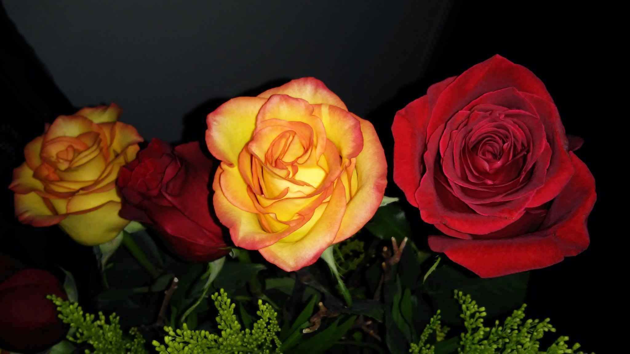 LG VOLT sample photo. Rosas photography