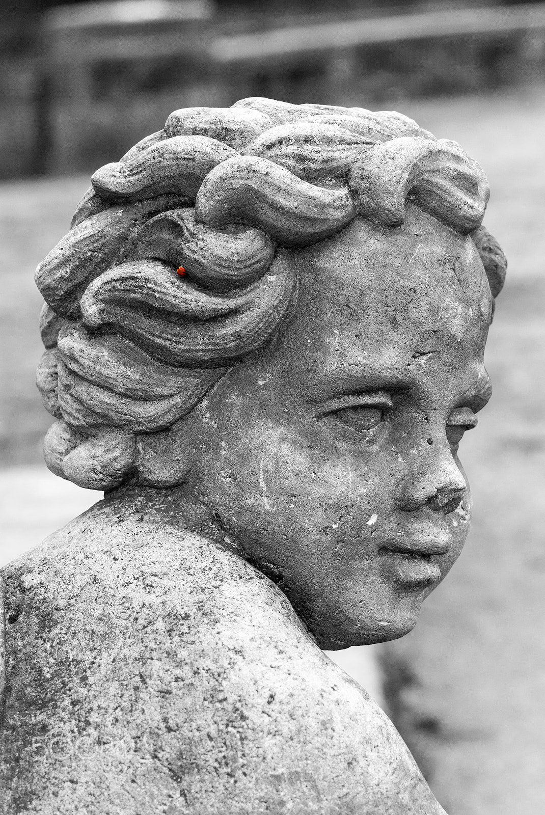 Fujifilm FinePix S2 Pro sample photo. Lieveheersbeestje photography