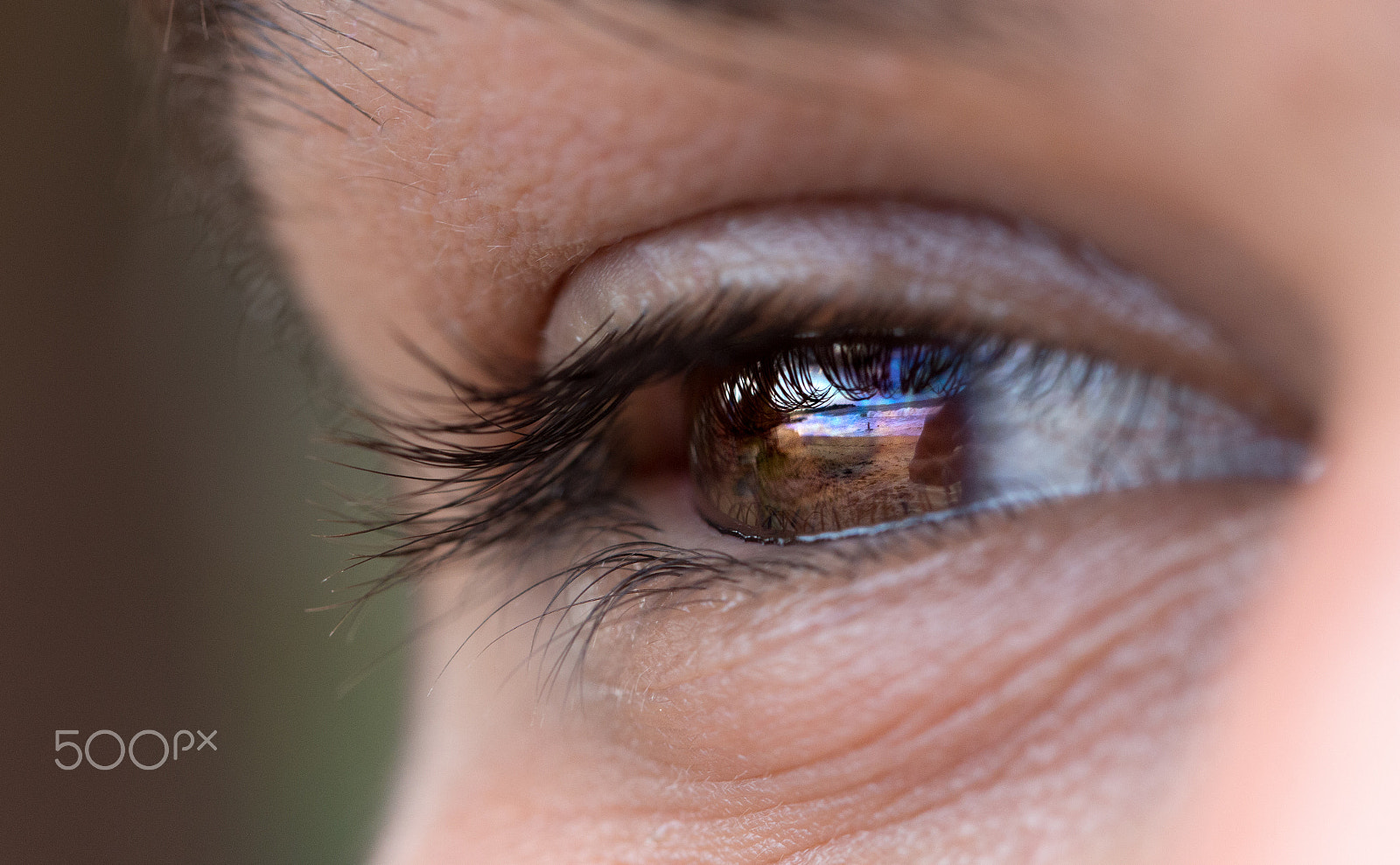 Canon EF 100mm F2.8L Macro IS USM sample photo. Oil in the eyes photography