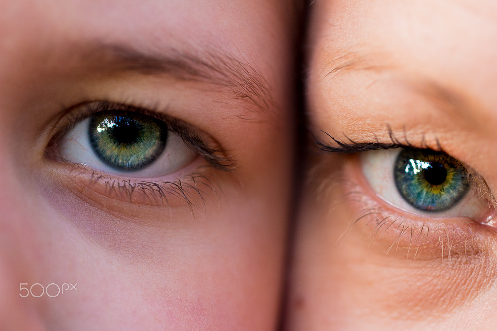 Canon EF 100mm F2.8L Macro IS USM sample photo. Which one is the mother? photography