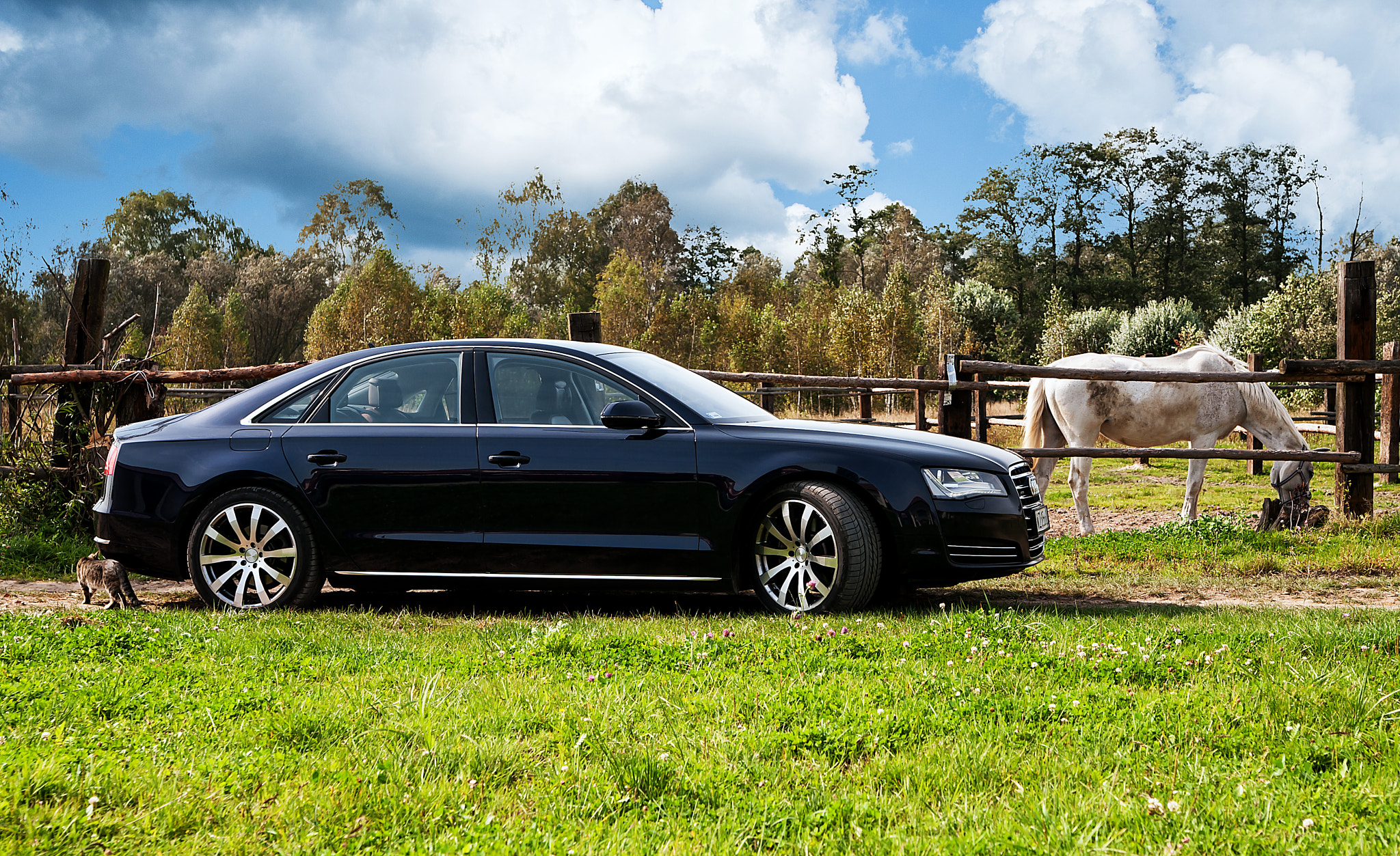 Nikon D700 sample photo. Audi photography