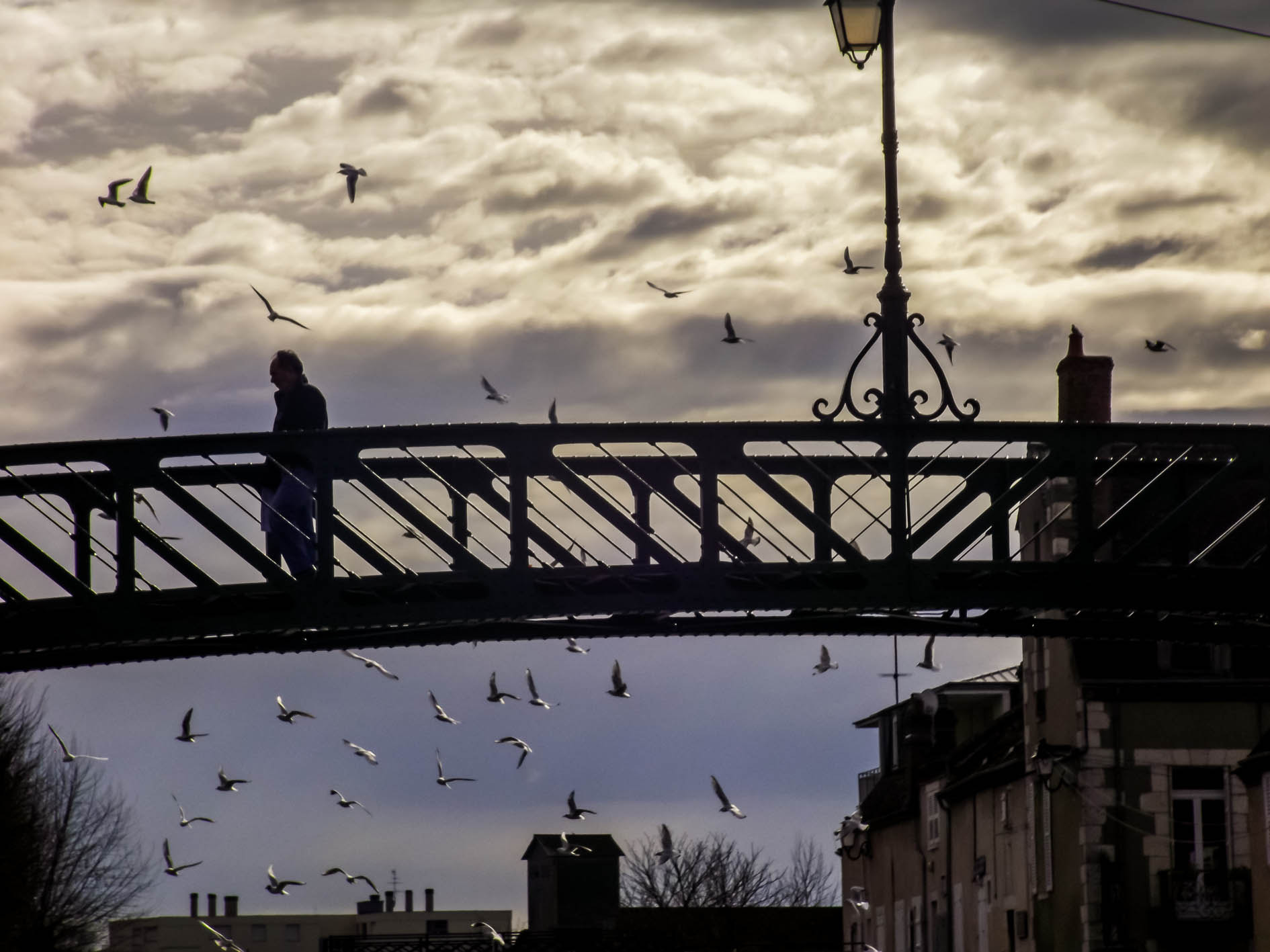 Fujifilm FinePix S4600 sample photo. Passons sur la passerelle photography